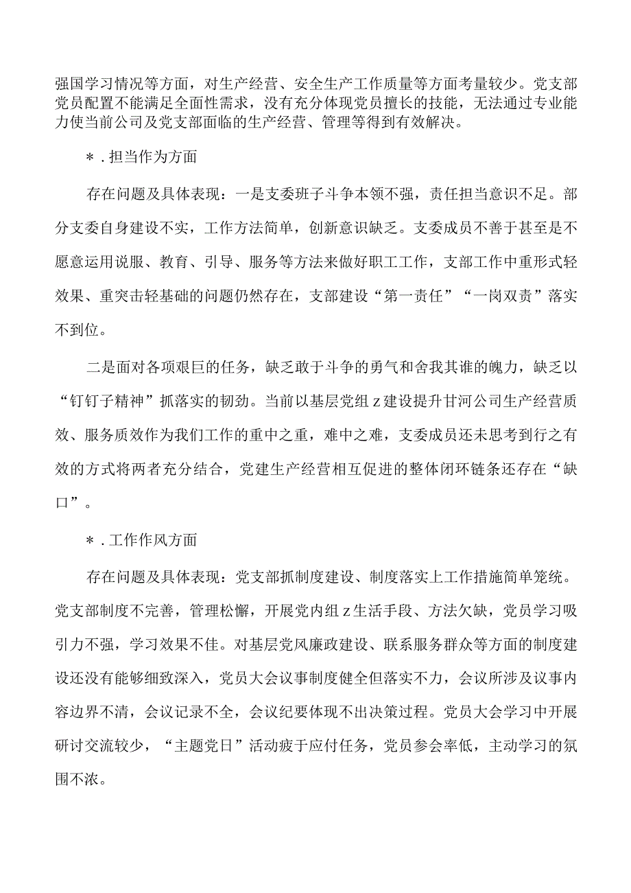 集团公司23年班子检查提纲.docx_第2页