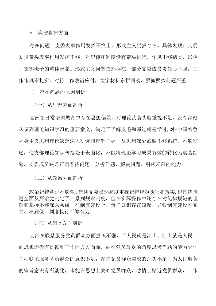 集团公司23年班子检查提纲.docx_第3页