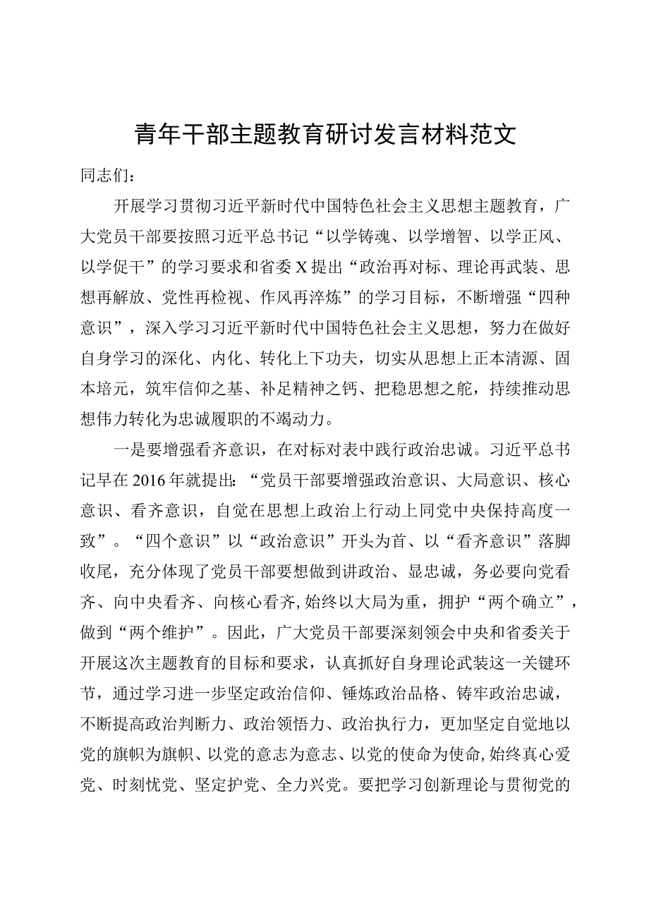 青年干部主题教育研讨发言材料题心得体会主要.docx_第1页