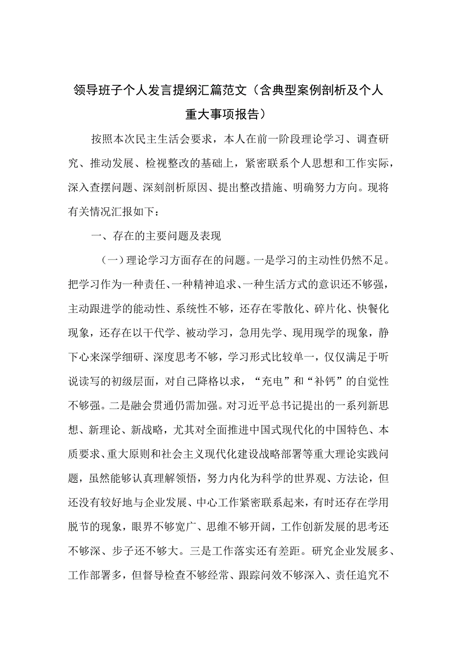 领导班子个人发言提纲汇篇范文（含典型案例剖析及个人重大事项报告）.docx_第1页