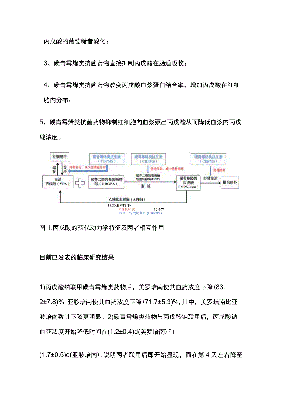 2023美罗培南降低丙戊酸钠血药浓度作用的可能机制.docx_第2页