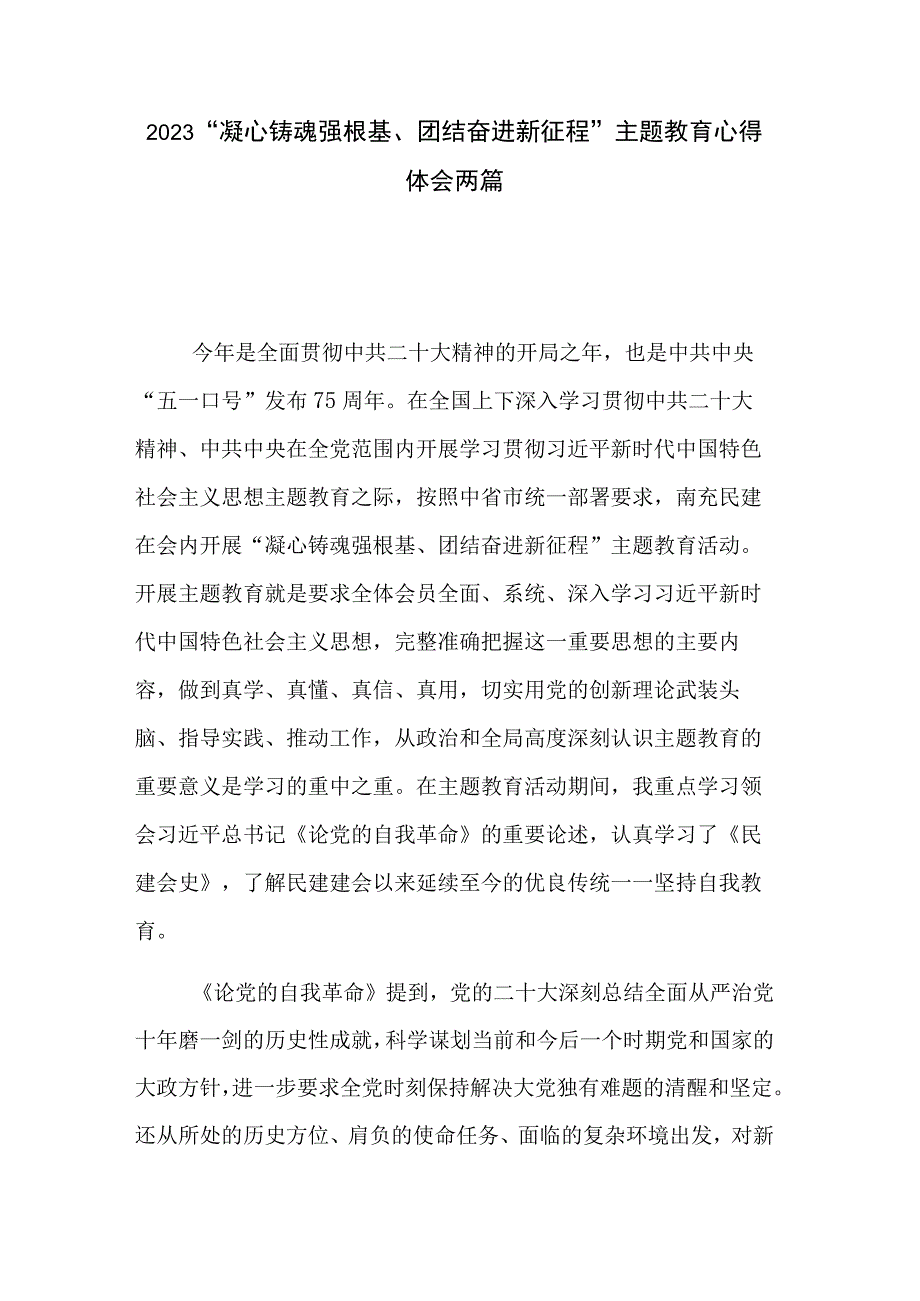 2023“凝心铸魂强根基、团结奋进新征程”主题教育心得体会两篇.docx_第1页