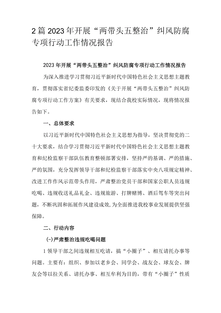 2篇2023年开展“两带头五整治”纠风防腐专项行动工作情况报告.docx_第1页