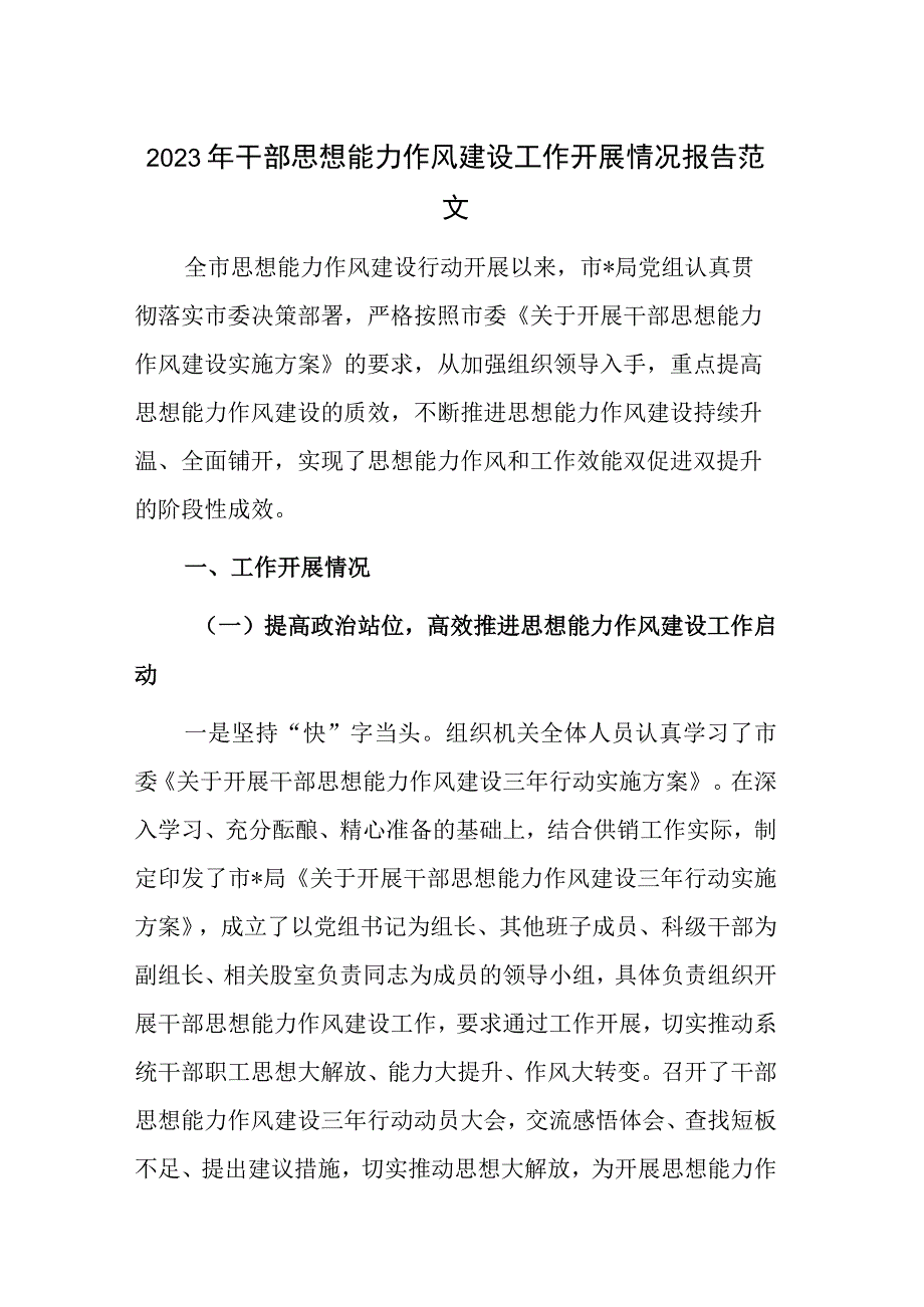 2023年干部思想能力作风建设工作开展情况报告范文.docx_第1页