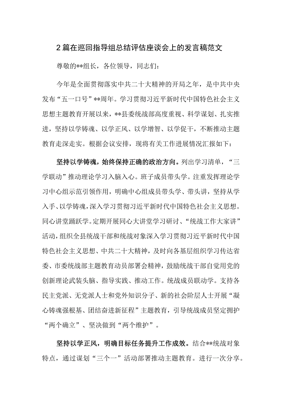 2篇在巡回指导组总结评估座谈会上的发言稿范文.docx_第1页