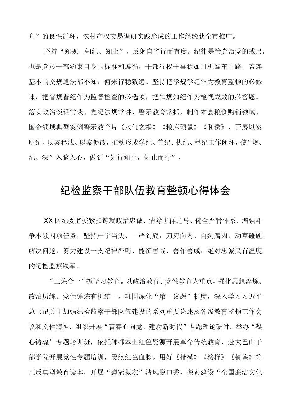 (四篇)纪委书记关于纪检监察干部队伍教育整顿心得体会研讨发言材料.docx_第2页