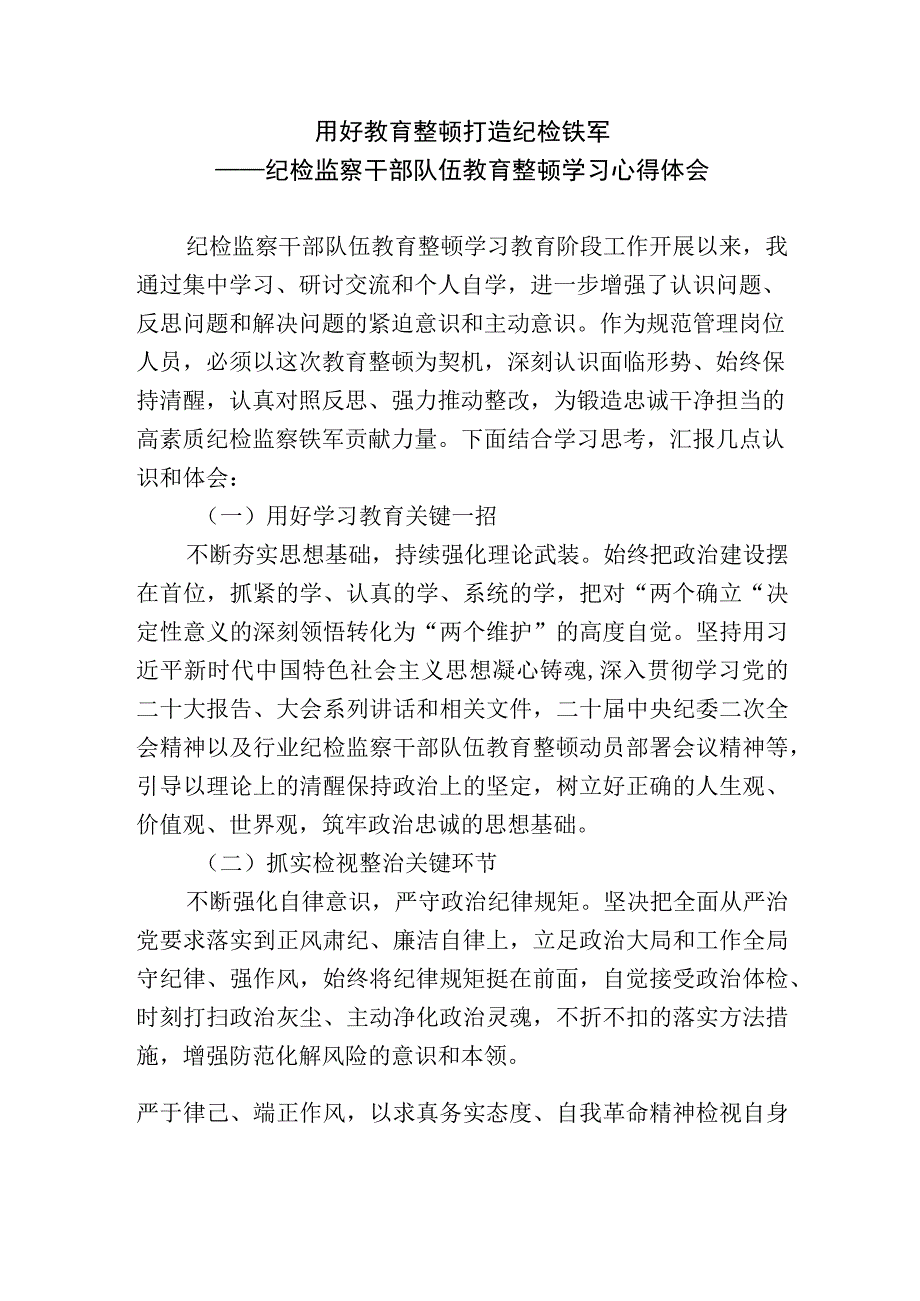 2023纪检监察巡察干部队伍教育整顿学习心得体会研讨发言材料.docx_第1页