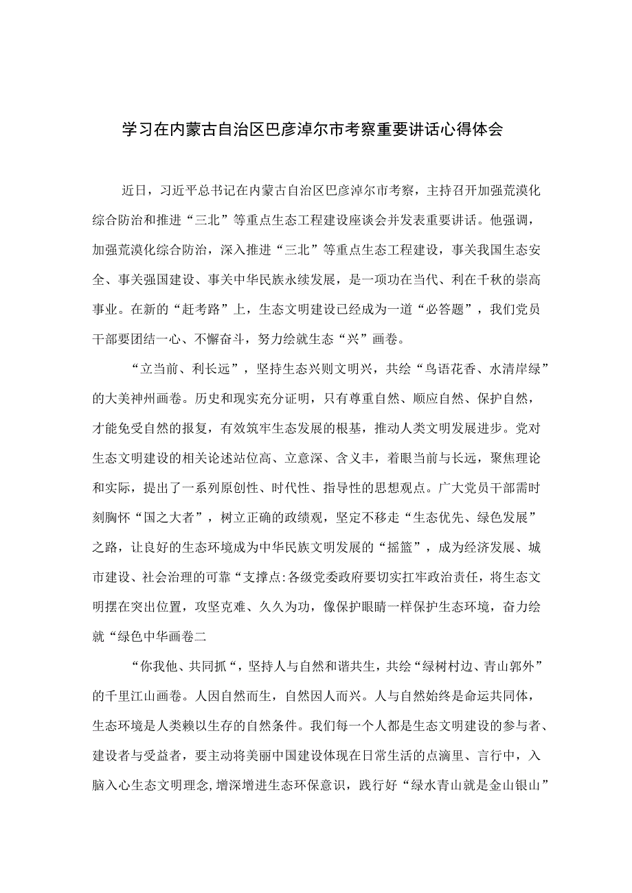 2023学习在内蒙古自治区巴彦淖尔市考察重要讲话心得体会最新精选版【13篇】.docx_第1页