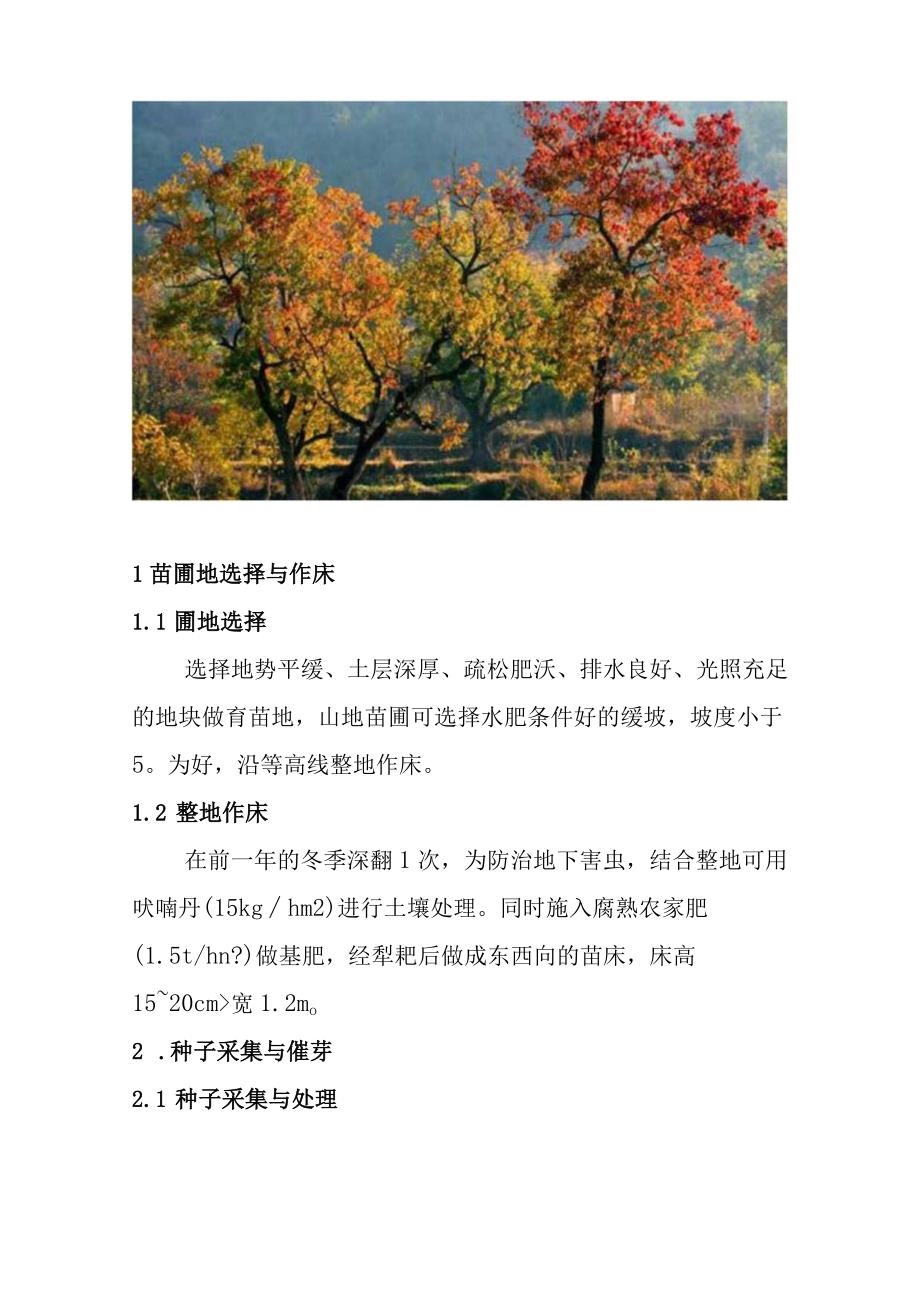 NaN3诱变乌桕技术.docx_第2页