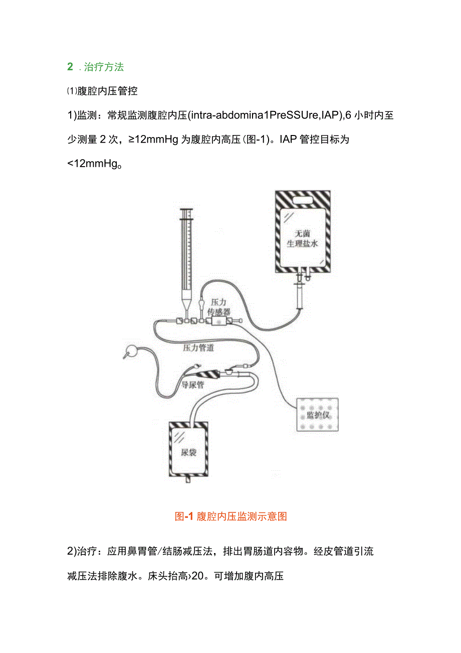 2023急性胃肠损伤.docx_第3页