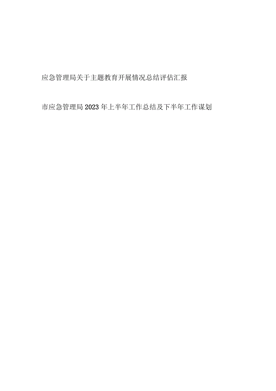 2023年市应急管理局关于主题教育开展情况总结评估汇报.docx_第1页