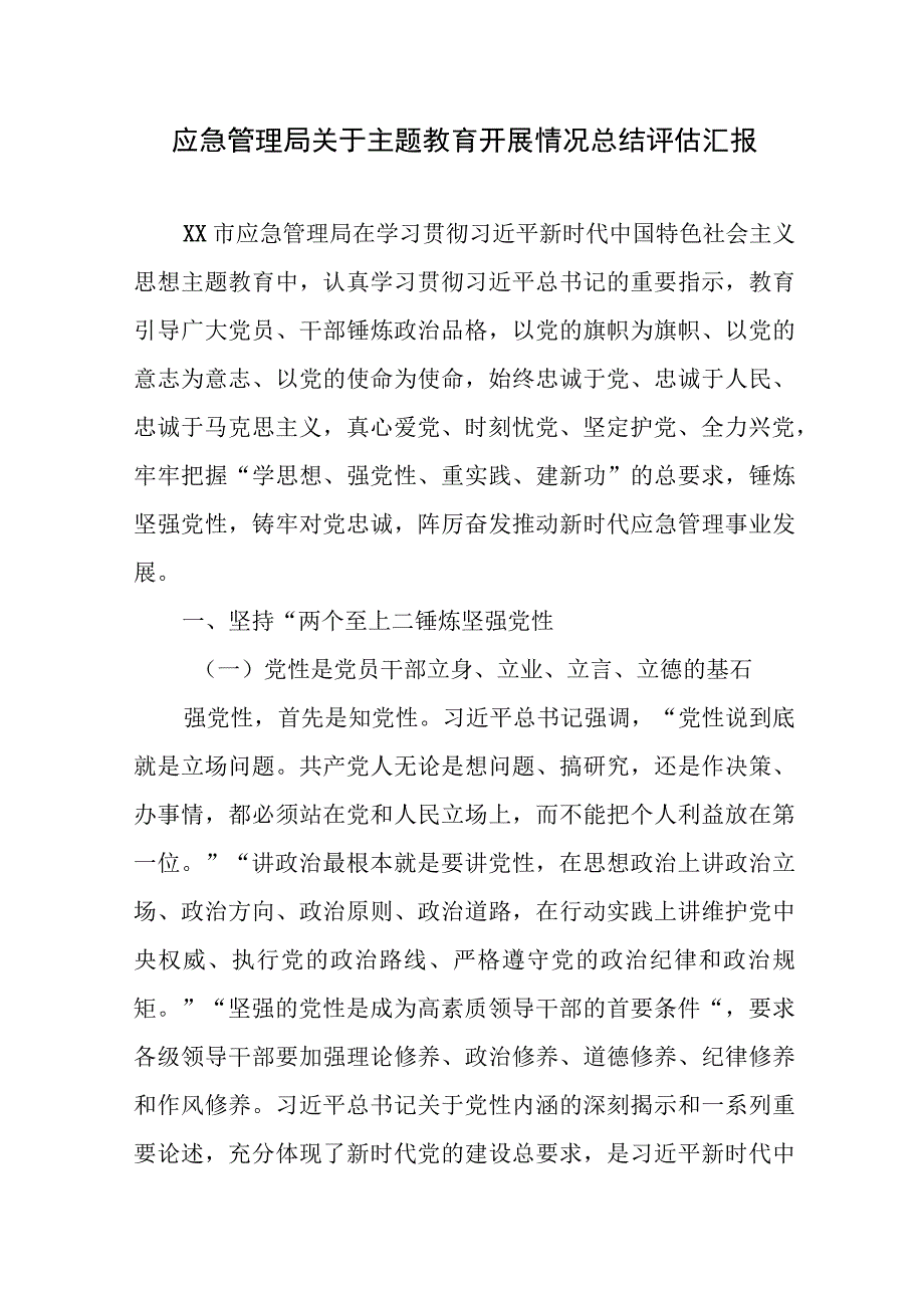 2023年市应急管理局关于主题教育开展情况总结评估汇报.docx_第2页