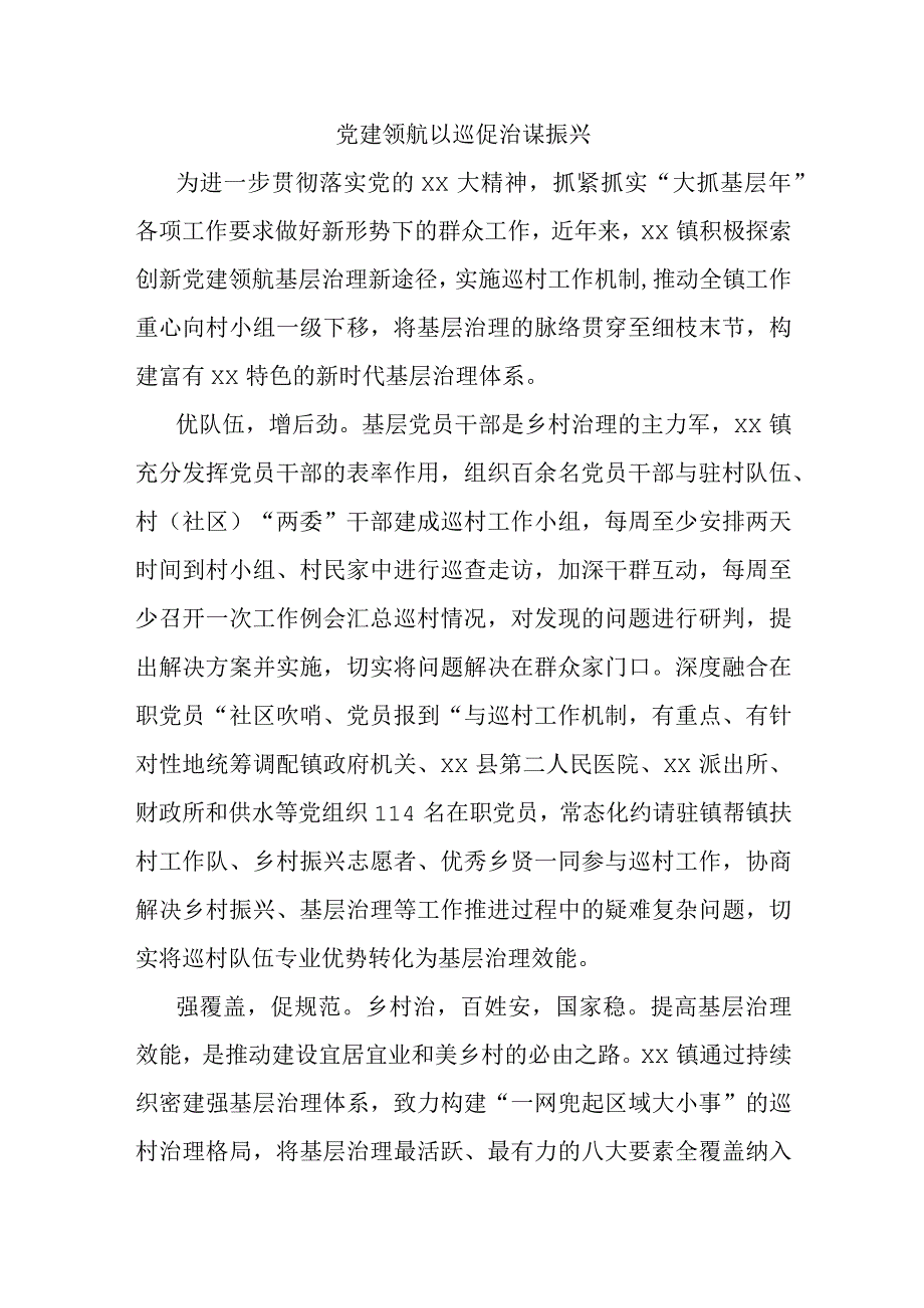 党建领航以巡促治谋振兴.docx_第1页