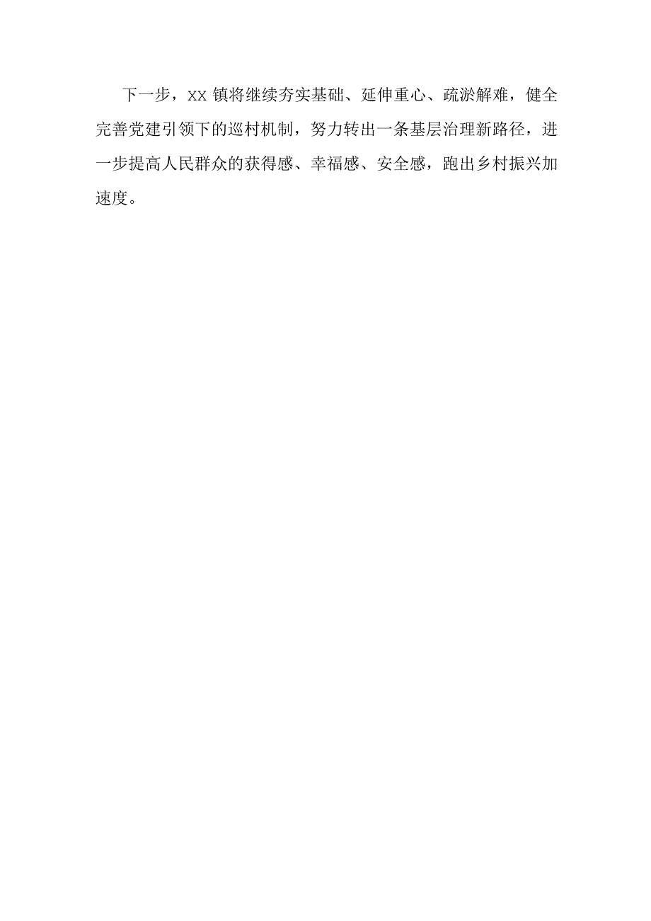 党建领航以巡促治谋振兴.docx_第3页