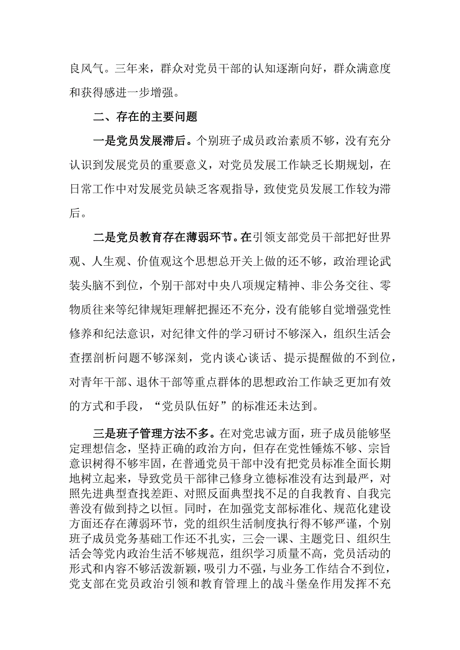 党支部巡察工作汇报.docx_第3页