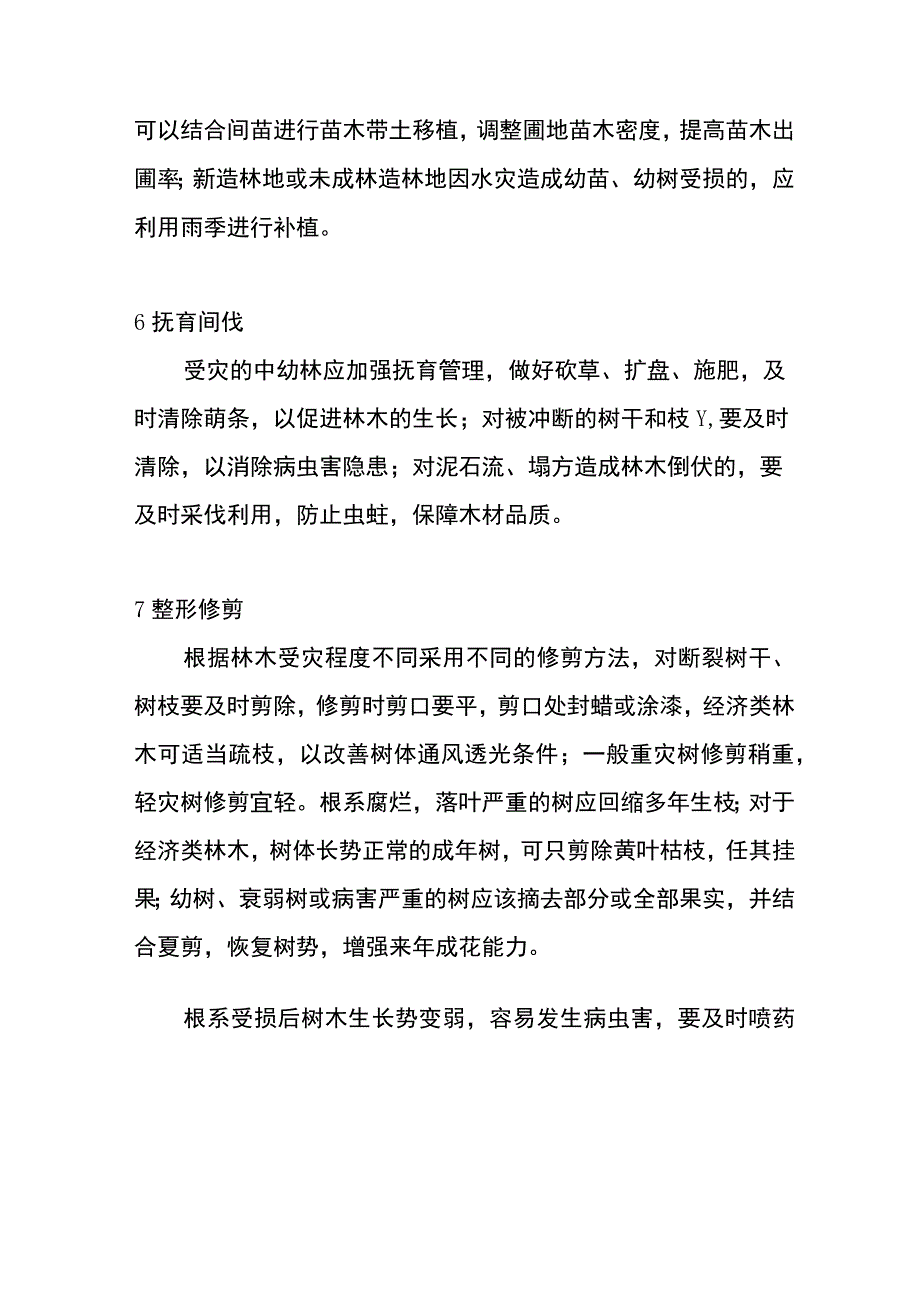 暴雨灾后林业重建技术.docx_第3页