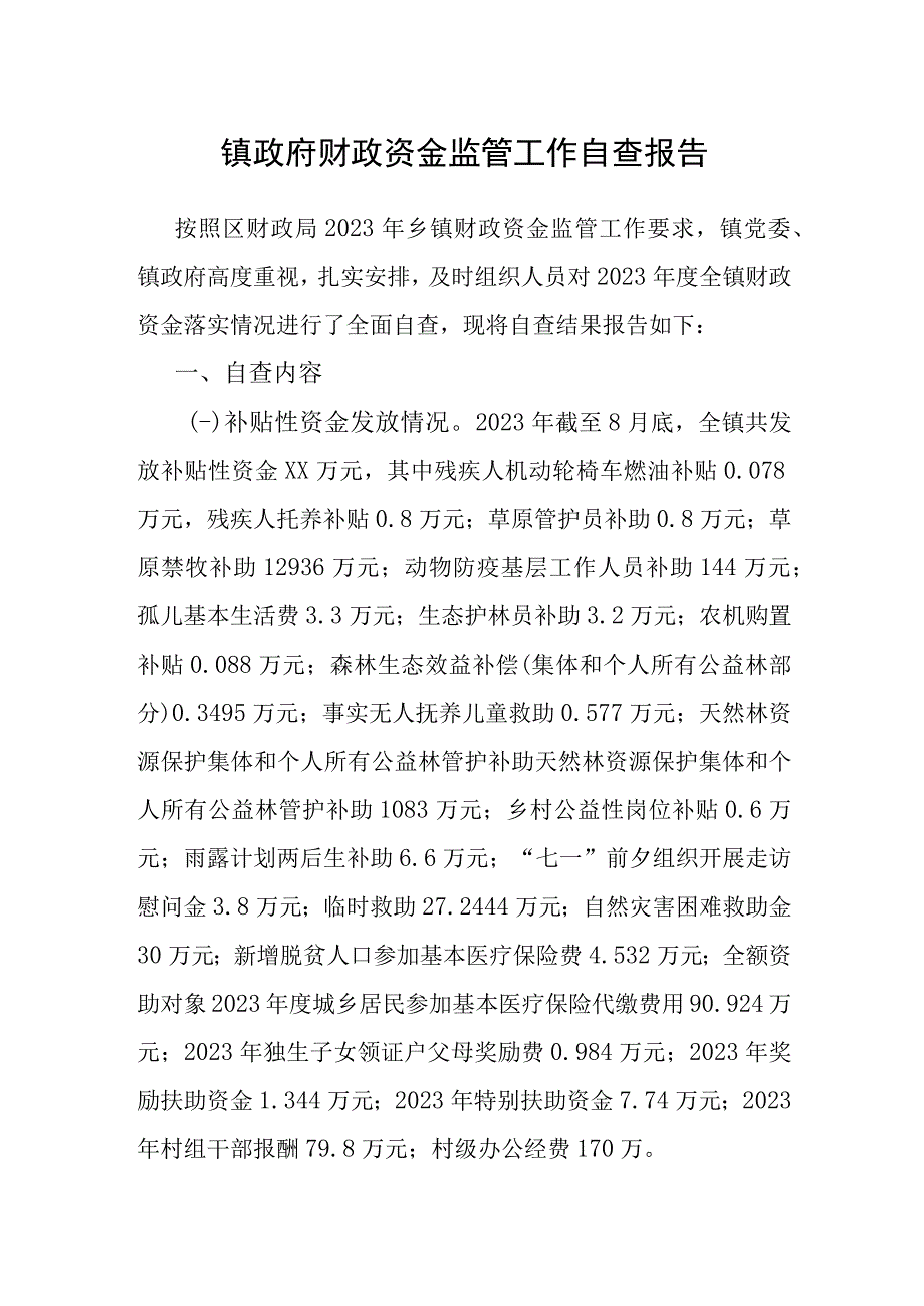 财政资金监管工作自查报告（镇）.docx_第1页