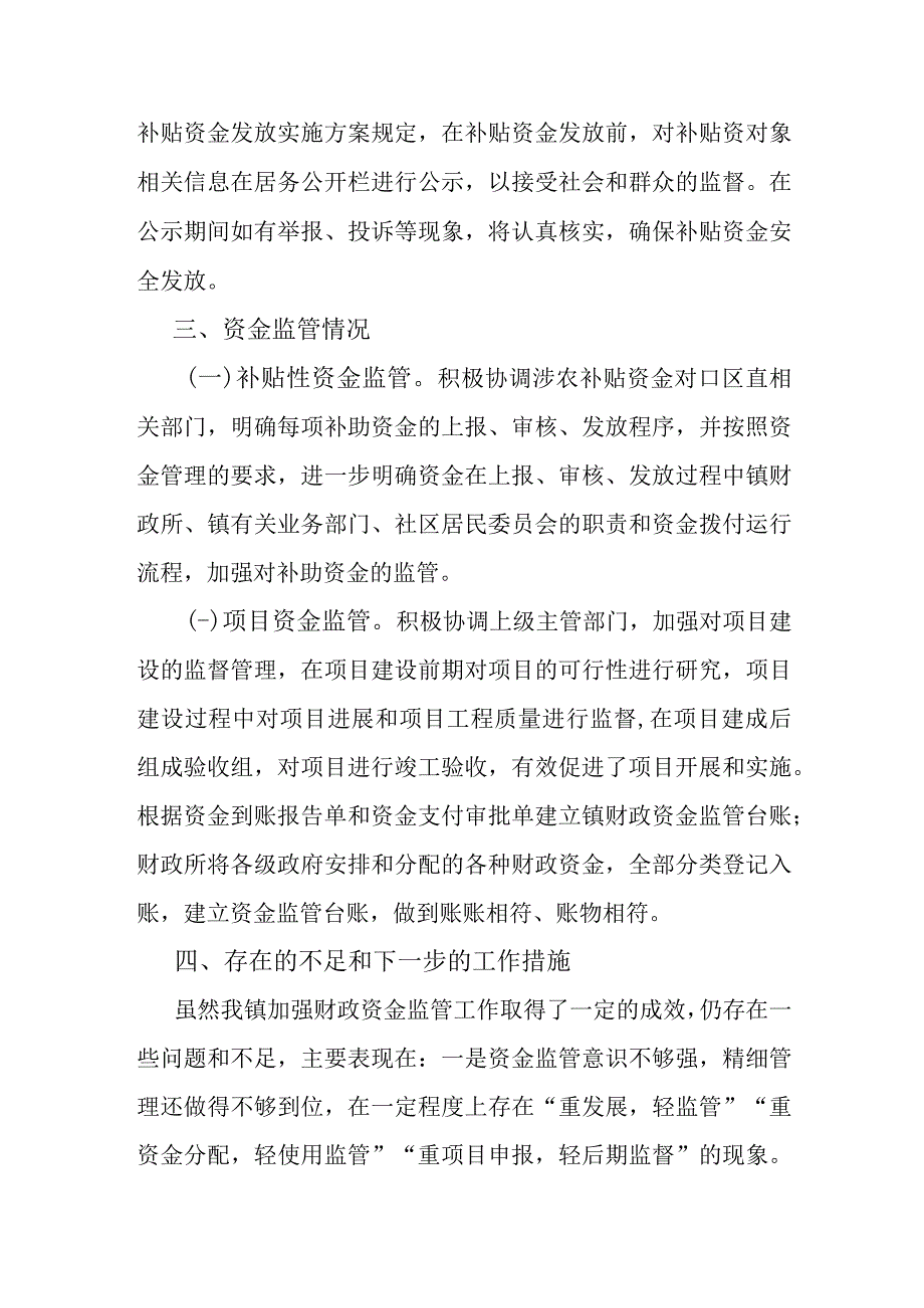 财政资金监管工作自查报告（镇）.docx_第3页