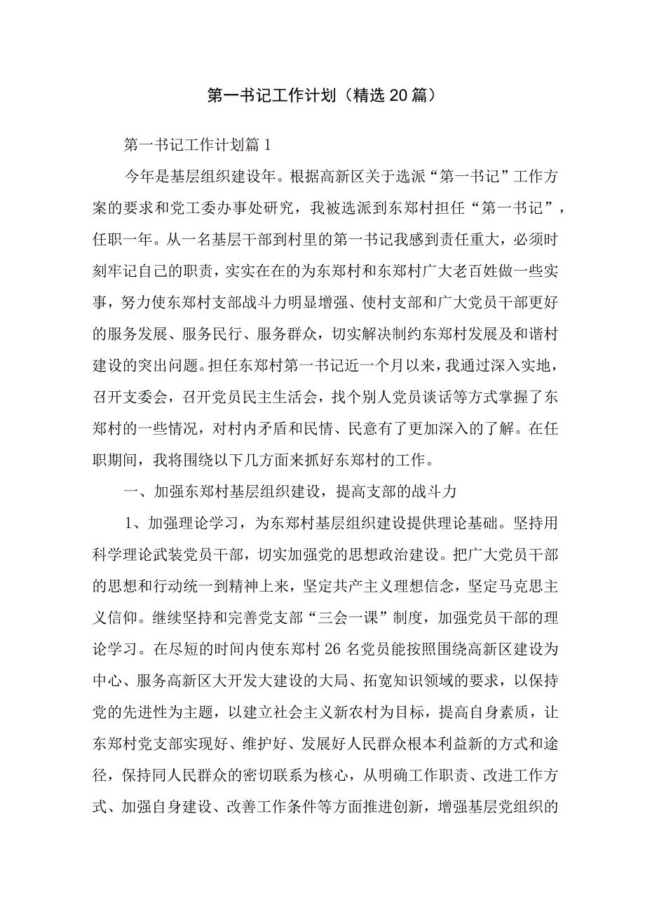 第一书记工作计划(精选20篇).docx_第1页