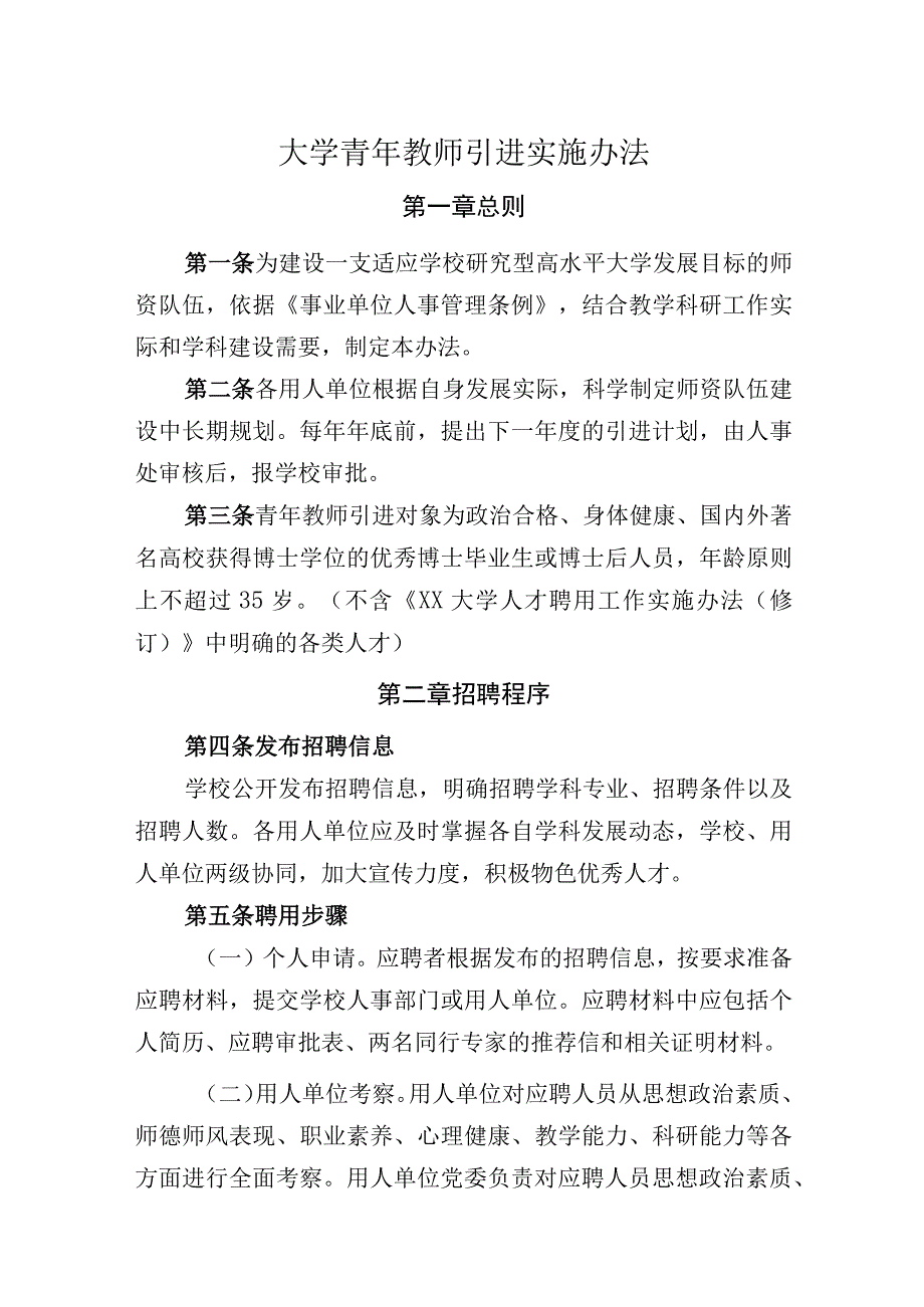 大学青年教师引进实施办法.docx_第1页