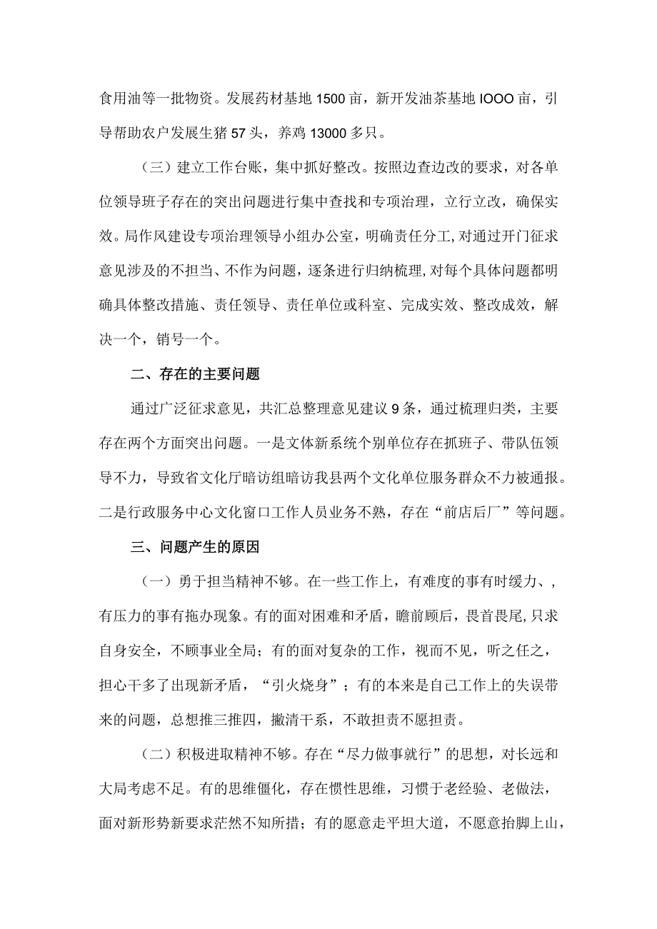 关于县文体新局不担当.docx_第2页