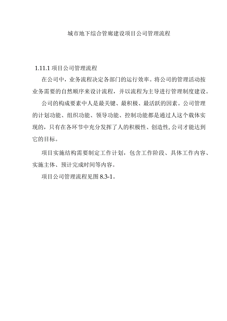 城市地下综合管廊建设项目公司管理流程.docx_第1页