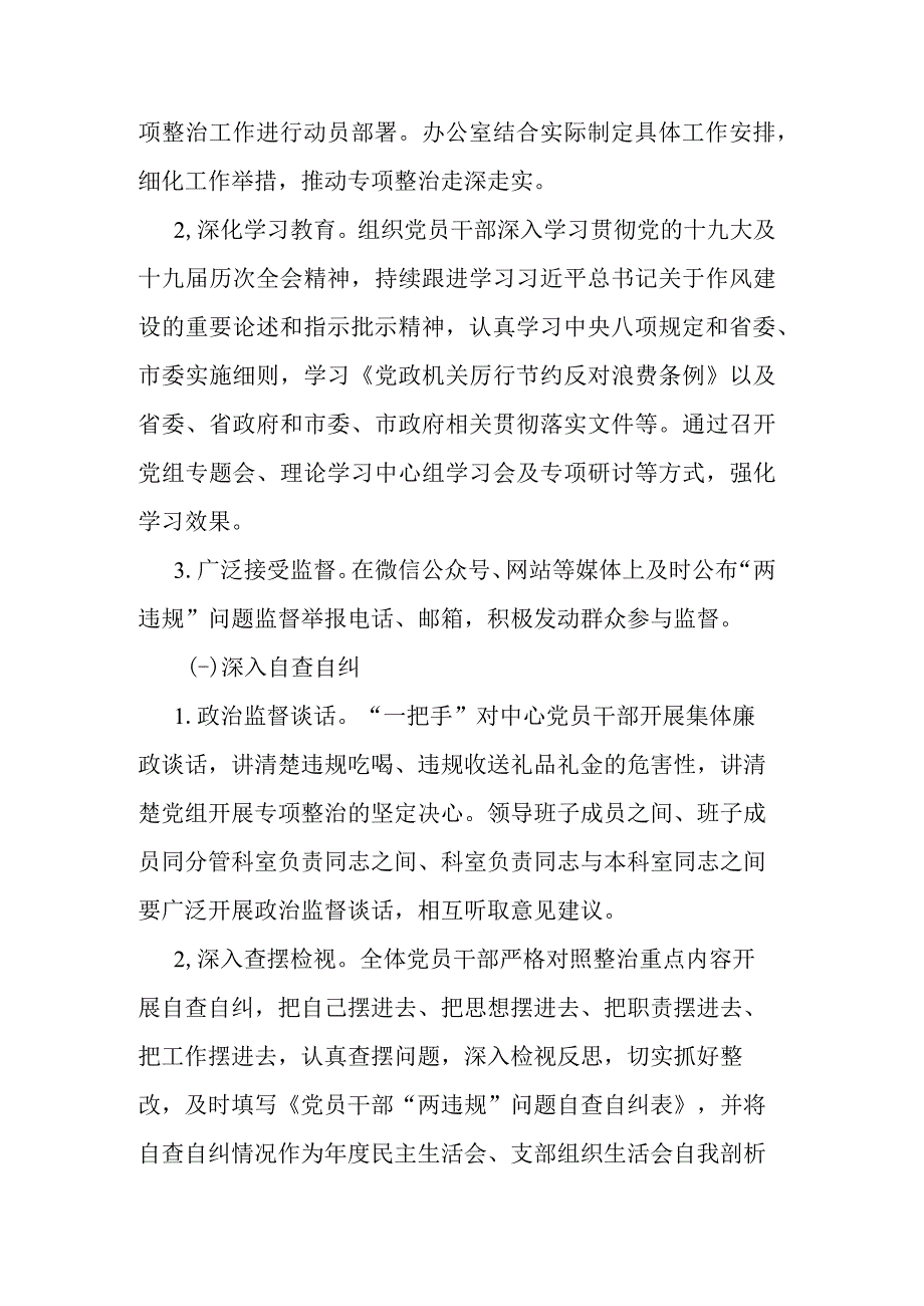 持续深化“两违规”问题专项整治工作方案.docx_第3页