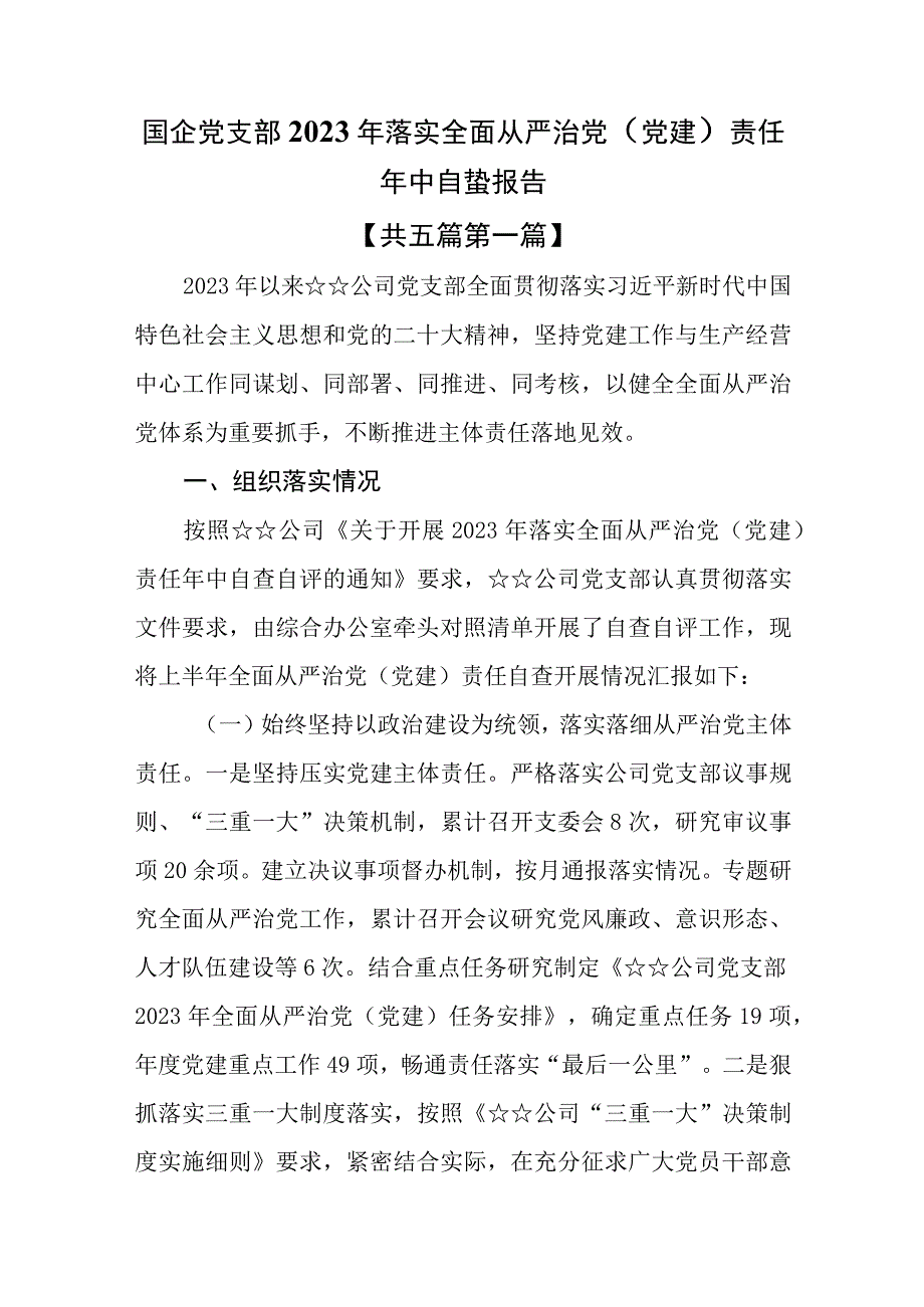 （5篇）国企党支部2023年落实全面从严治党（党建）责任年中自查报告.docx_第1页