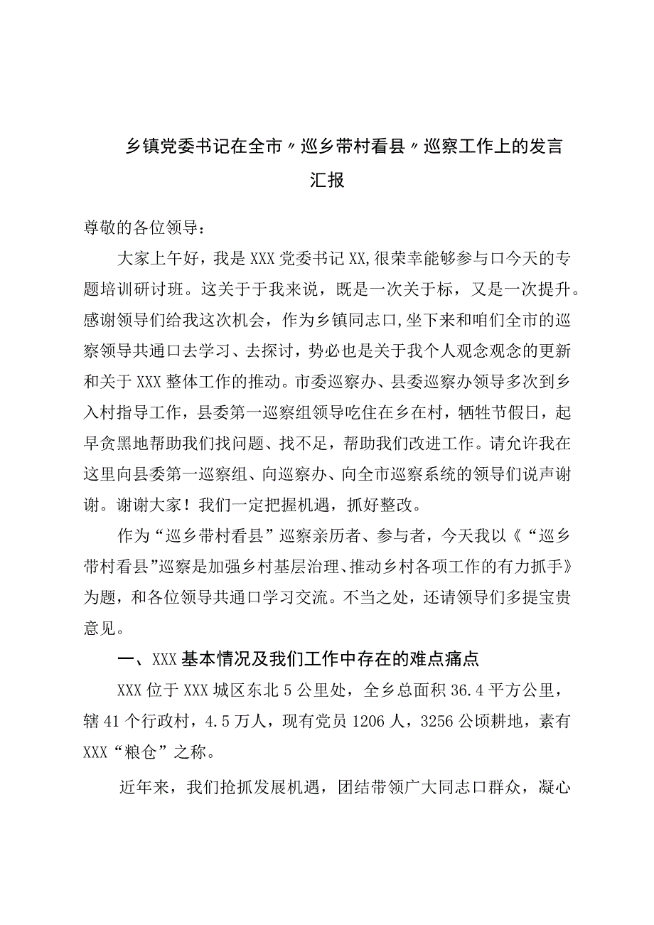 乡镇党委书记在全市“巡乡带村看县”巡察工作上的发言汇报.docx_第1页