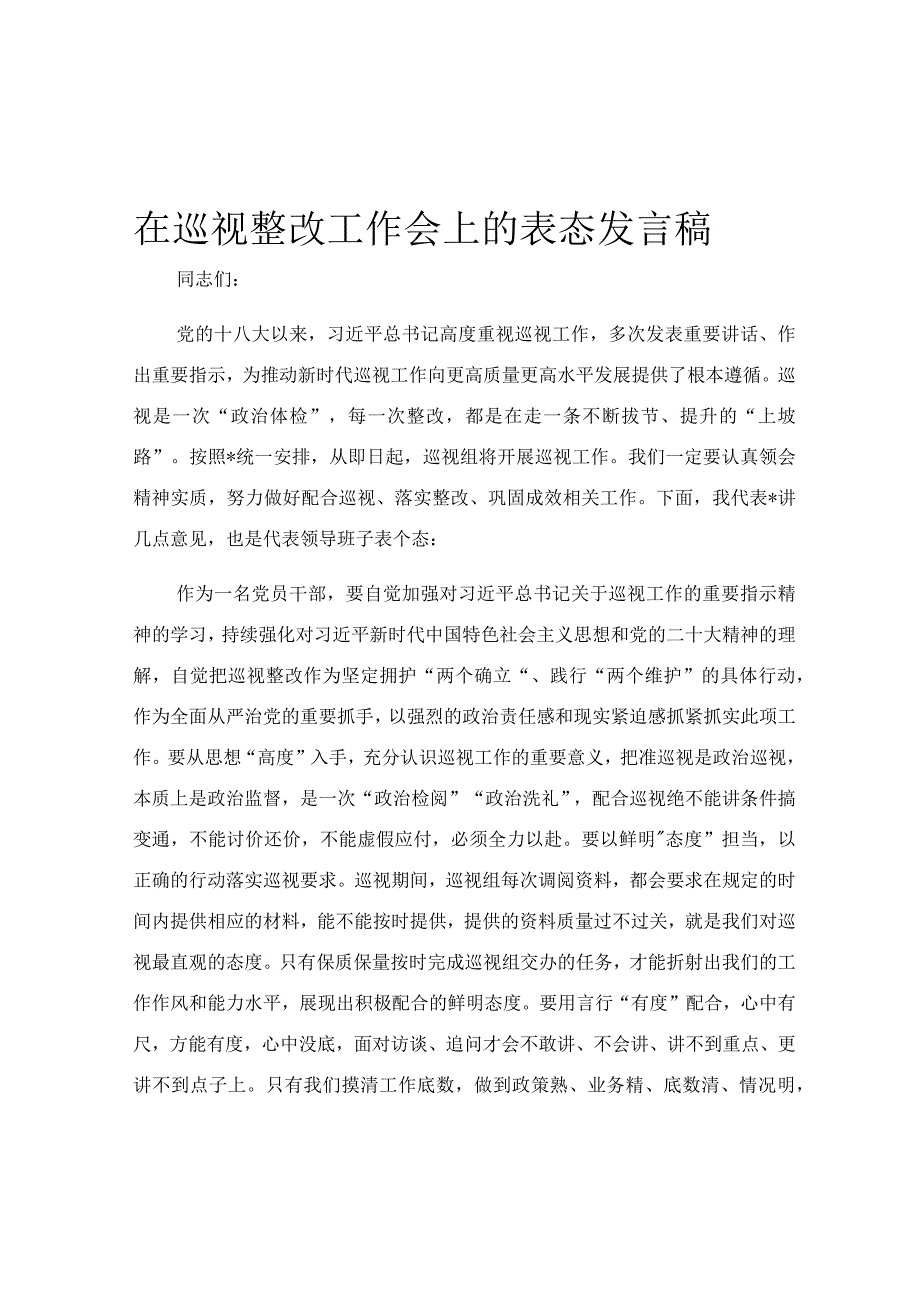 在巡视整改工作会上的表态发言稿.docx_第1页