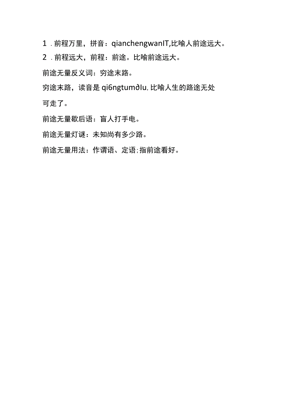 前途无亮的意思.docx_第2页