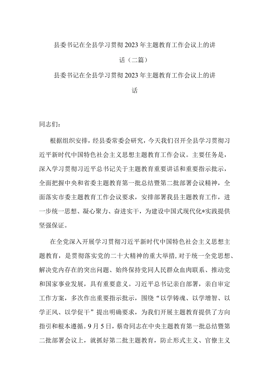 县委书记在全县学习贯彻2023年主题教育工作会议上的讲话(二篇).docx_第1页