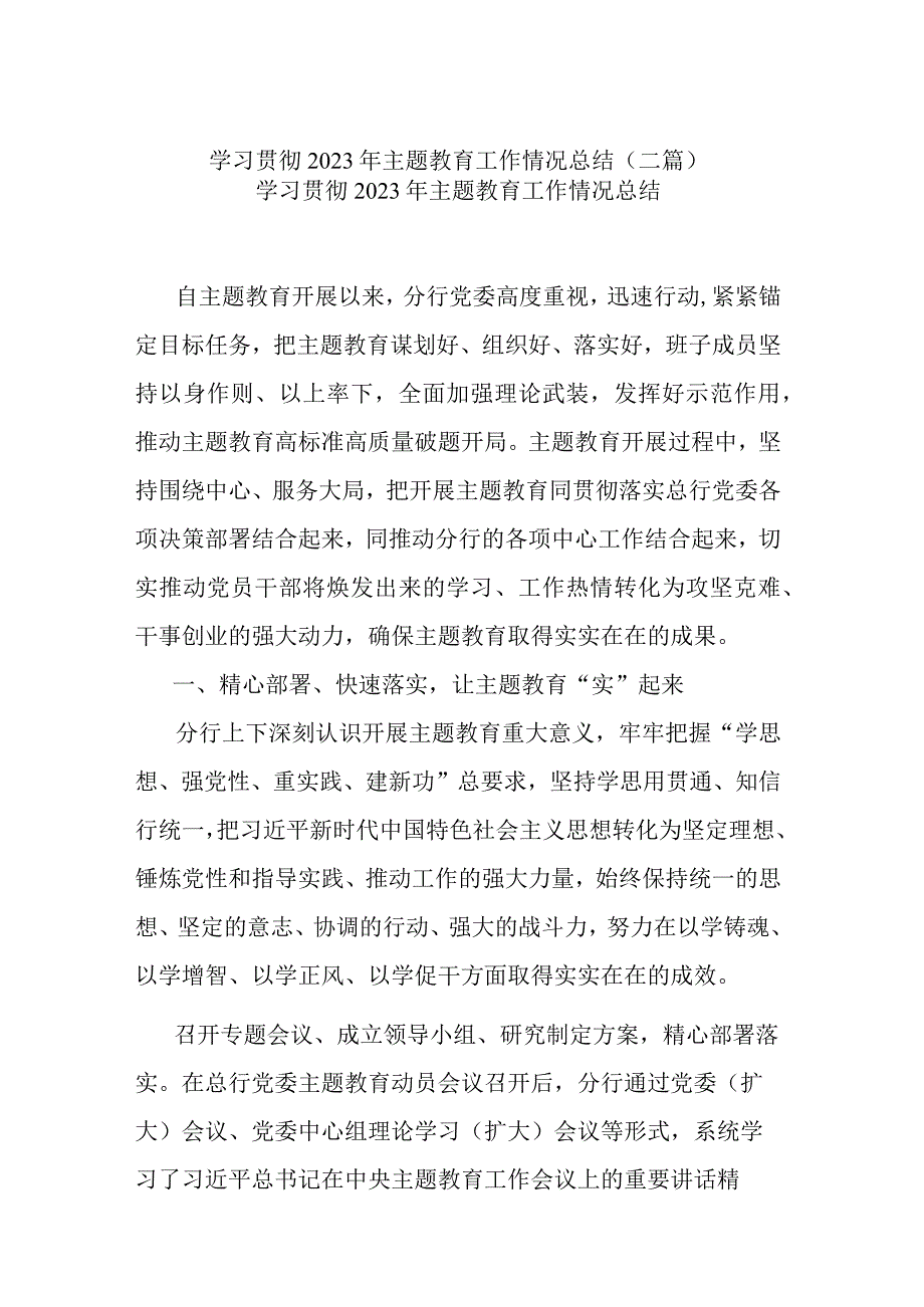 学习贯彻2023年主题教育工作情况总结(二篇).docx_第1页