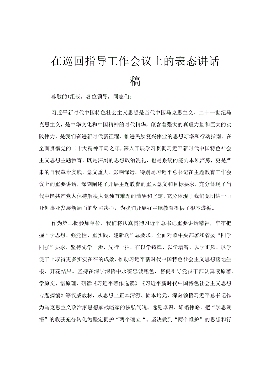 在巡回指导工作会议上的表态讲话稿.docx_第1页