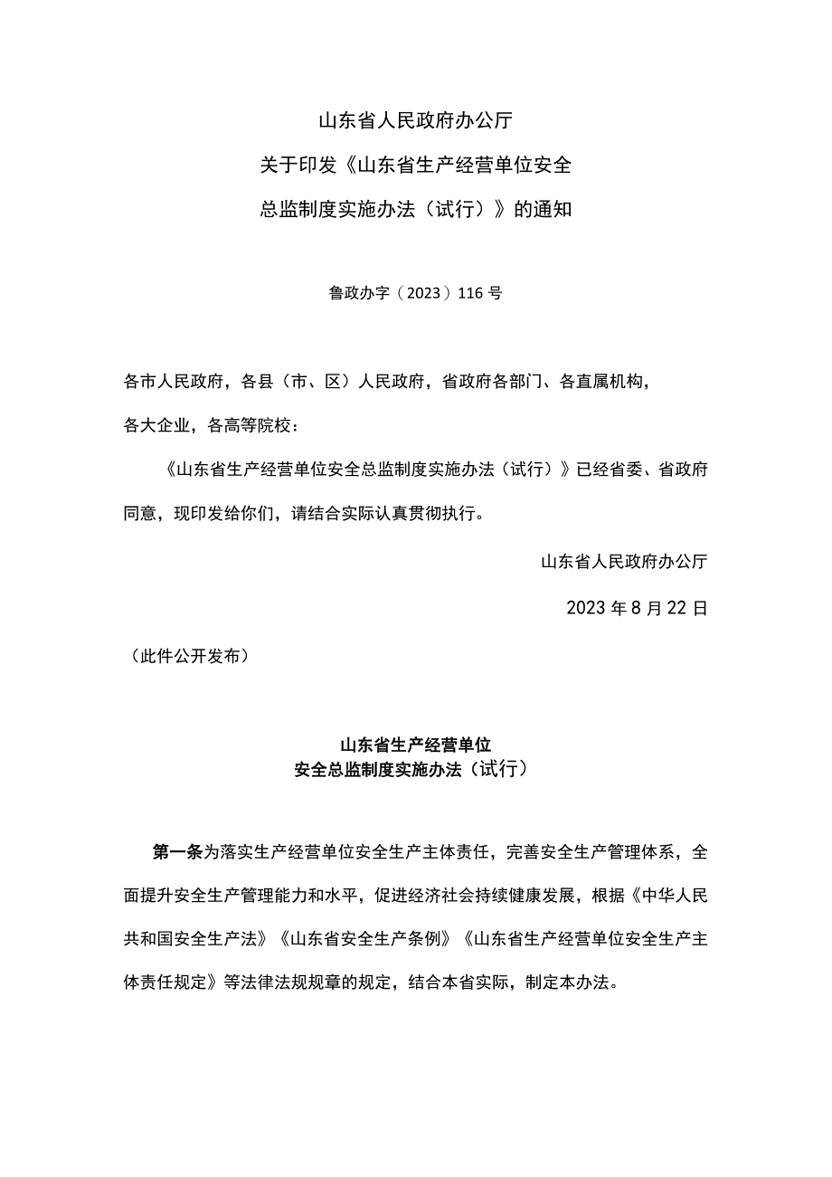 山东省生产经营单位安全总监制度实施办法（试行）2023.docx_第1页