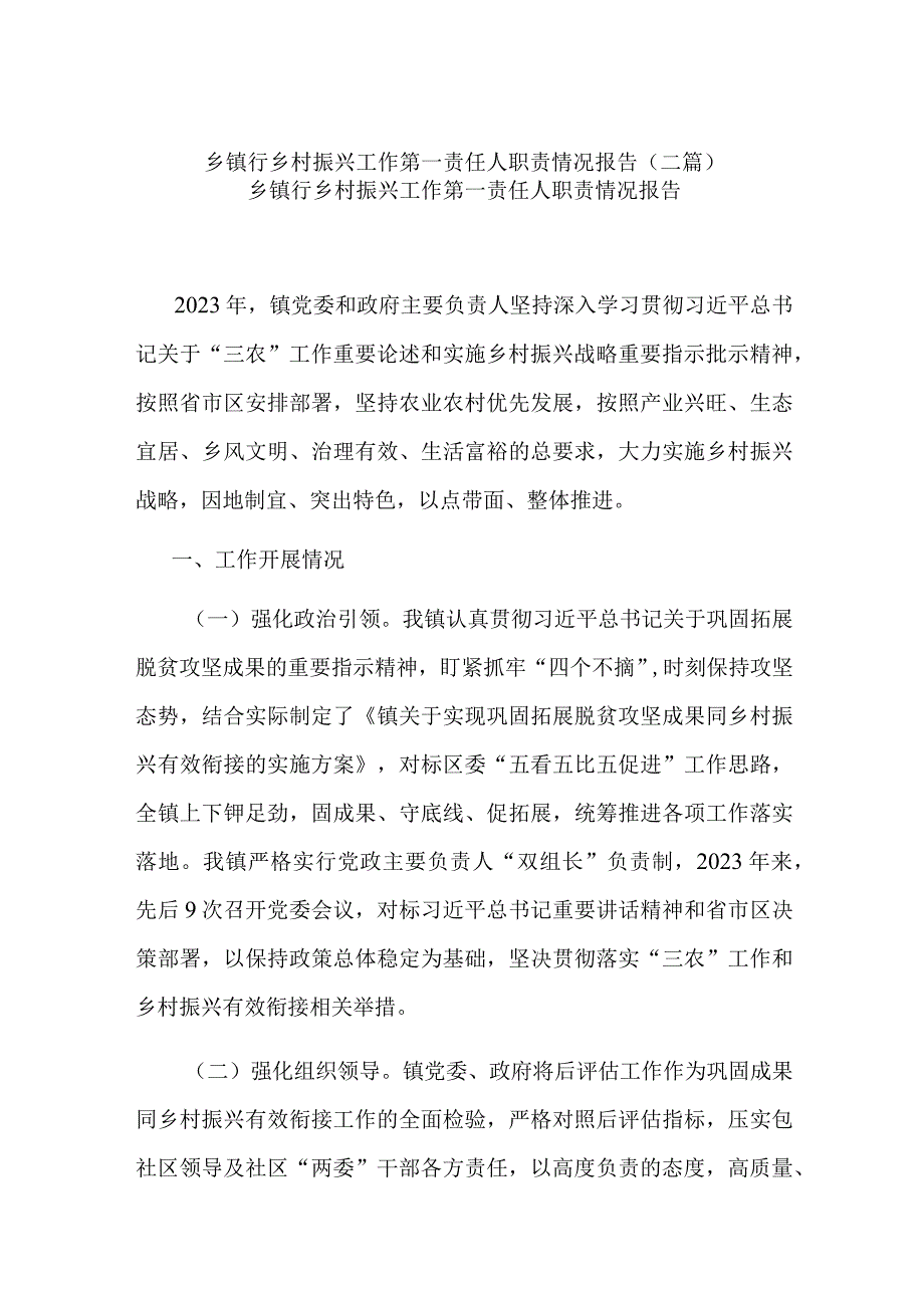 乡镇行乡村振兴工作第一责任人职责情况报告(二篇).docx_第1页