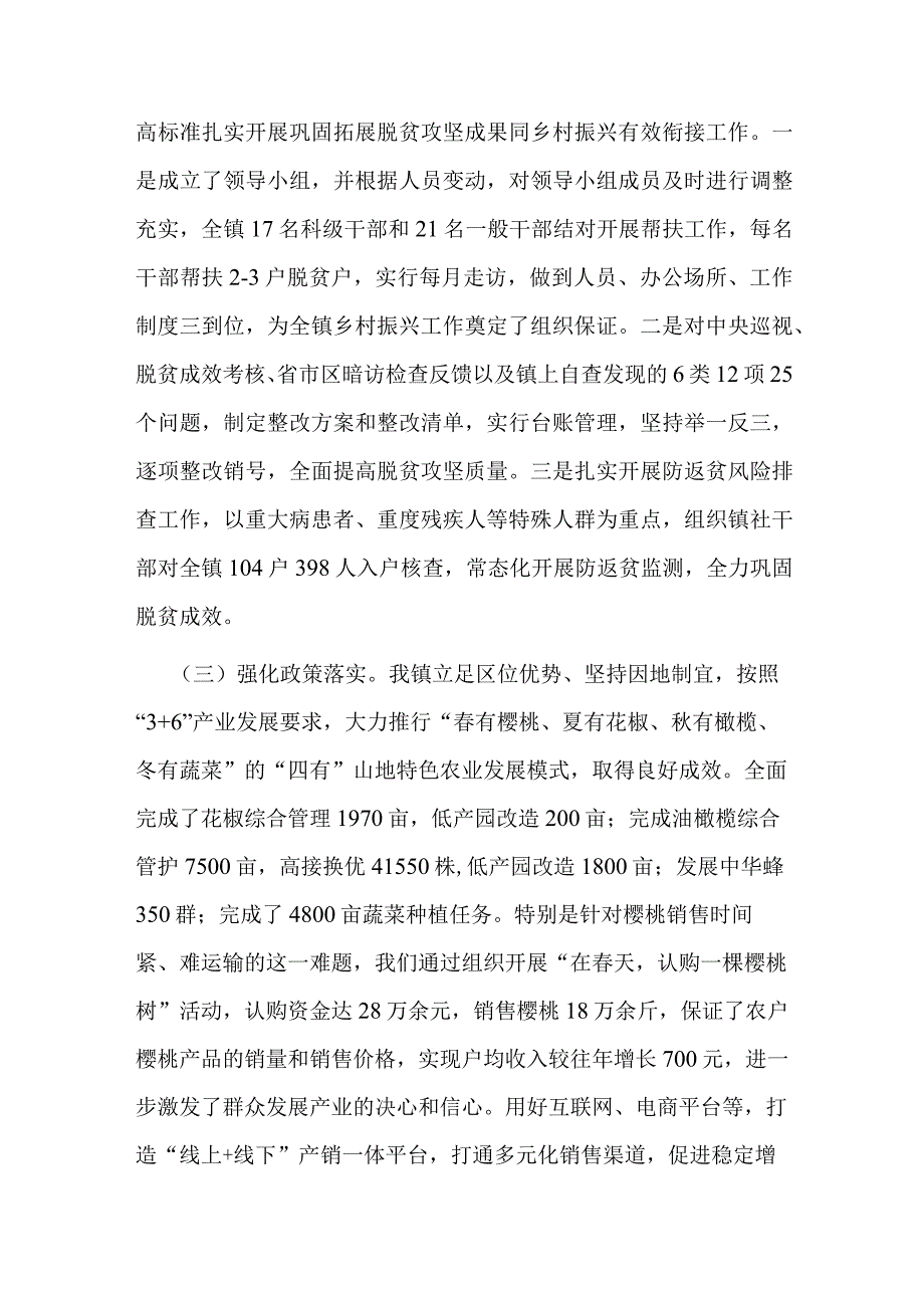 乡镇行乡村振兴工作第一责任人职责情况报告(二篇).docx_第2页