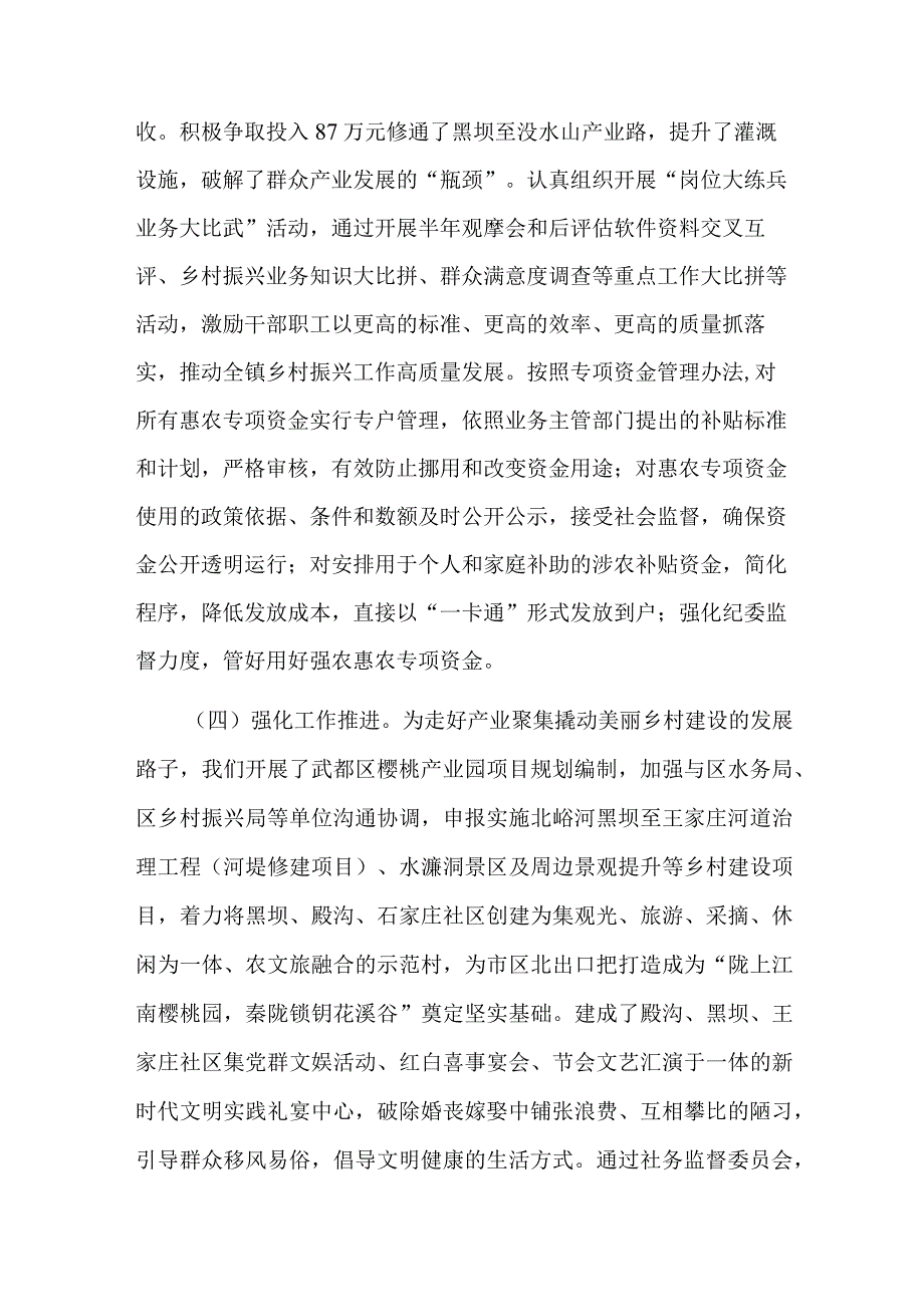 乡镇行乡村振兴工作第一责任人职责情况报告(二篇).docx_第3页