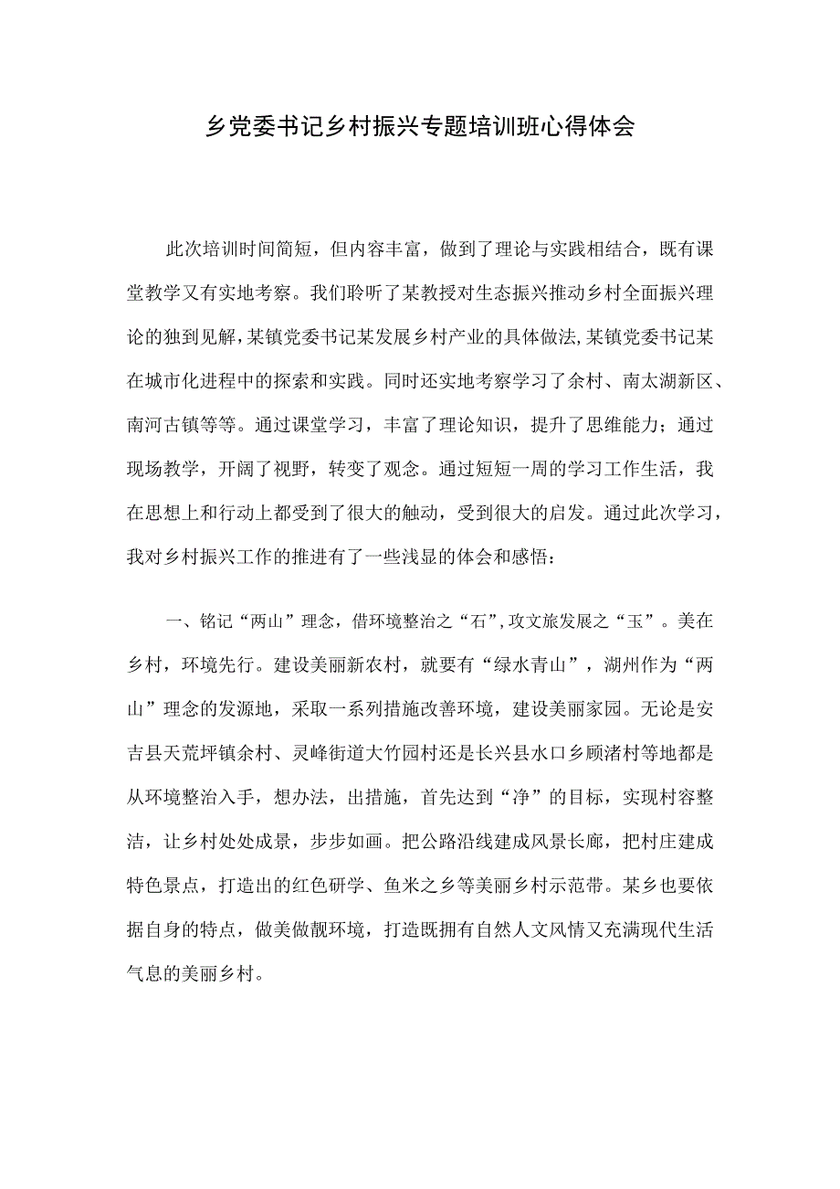 乡党委书记乡村振兴专题培训班心得体会.docx_第1页