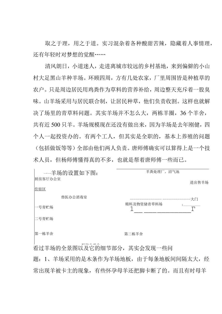 实习总结报告.docx_第2页