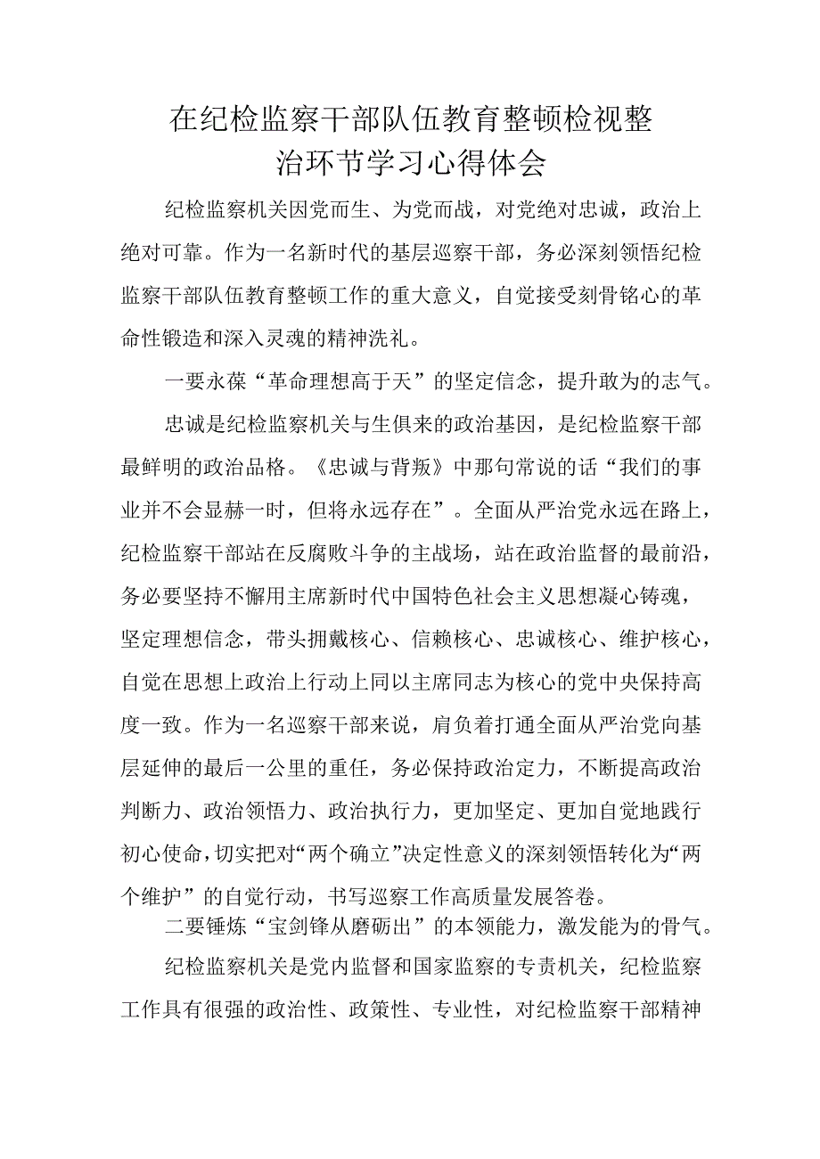 在纪检监察干部队伍教育整顿检视整治环节学习心得体会.docx_第1页