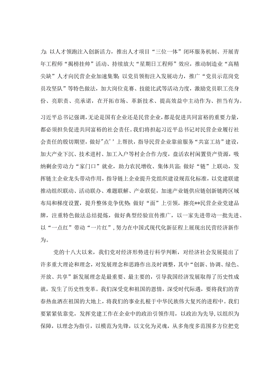 以高质量党建引领民营企业高质量发展专题党课讲稿.docx_第2页