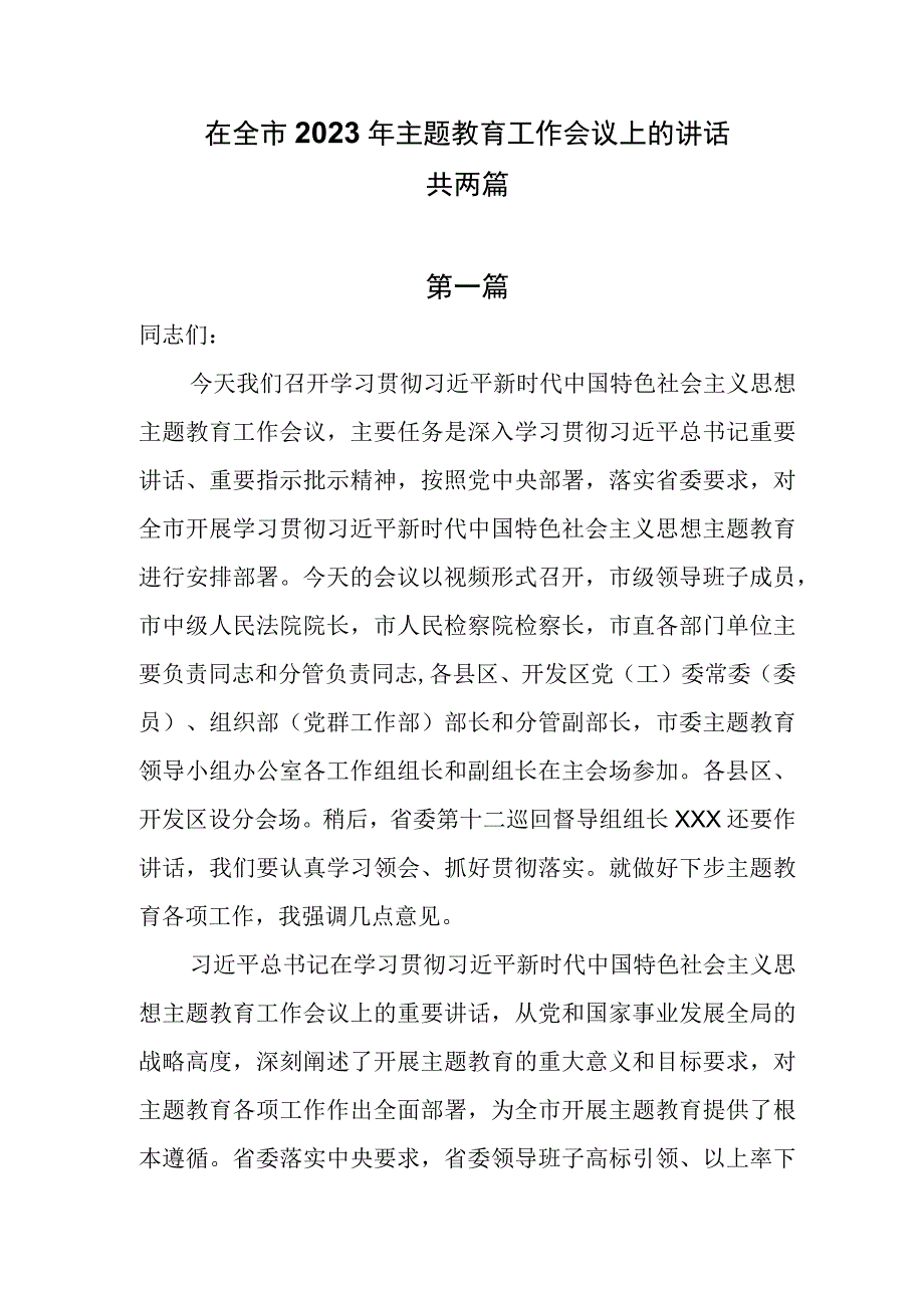 在全市2023年主题教育工作会议上的讲话共两篇.docx_第1页