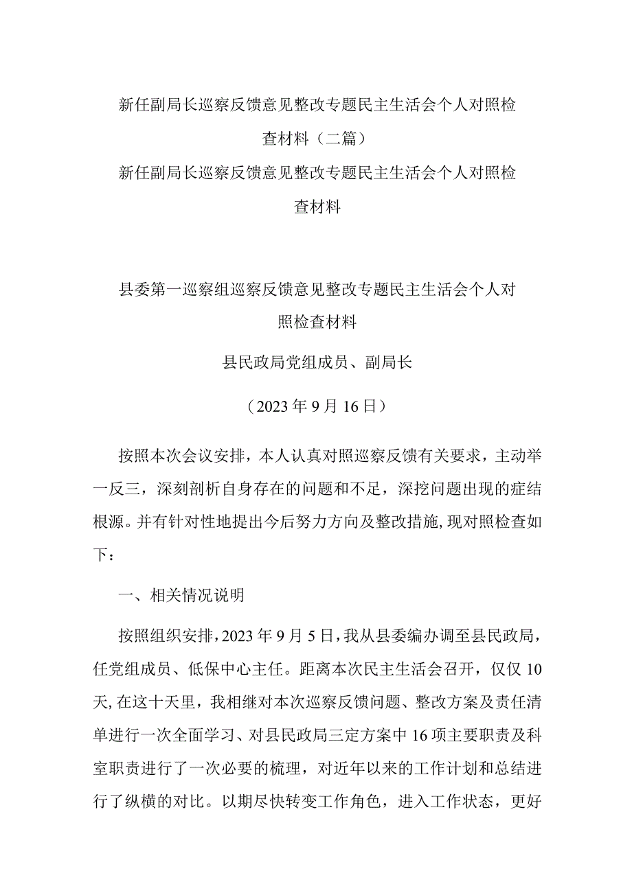 新任副局长巡察反馈意见整改专题民主生活会个人对照检查材料(二篇).docx_第1页