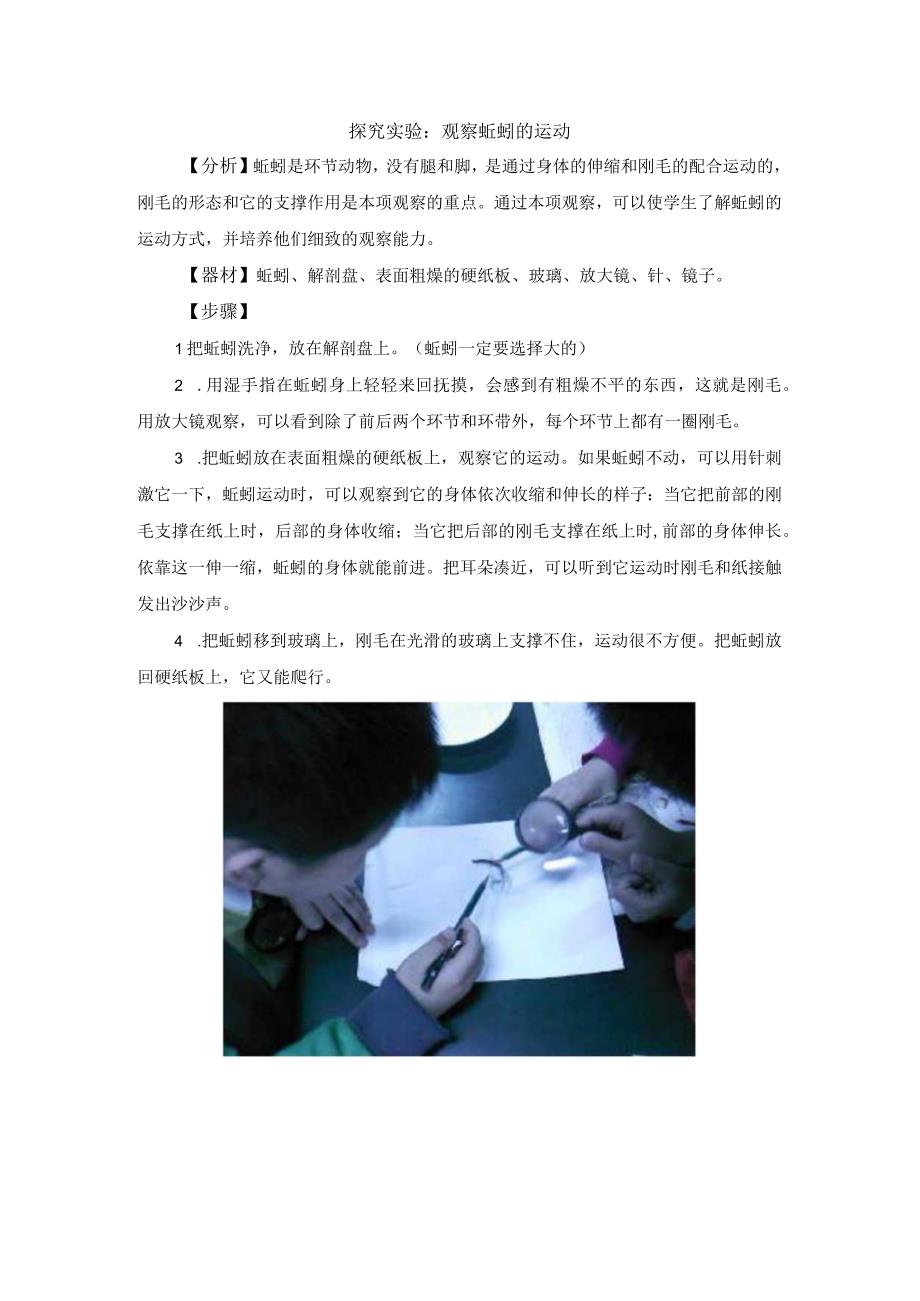 探究实验：观察蚯蚓的运动.docx_第1页