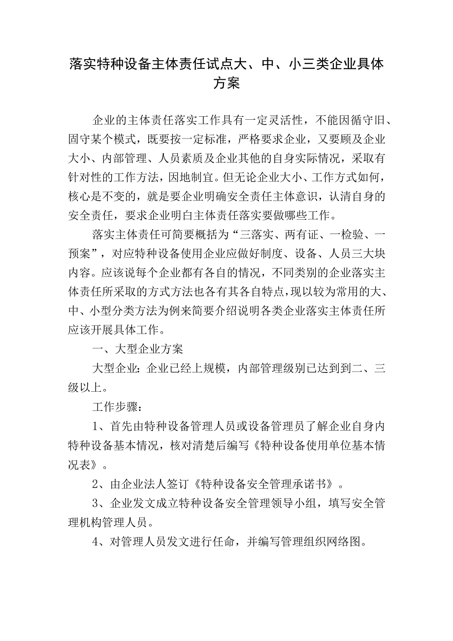 落实特种设备主体责任试点大、中、小三类企业具体方案.docx_第1页