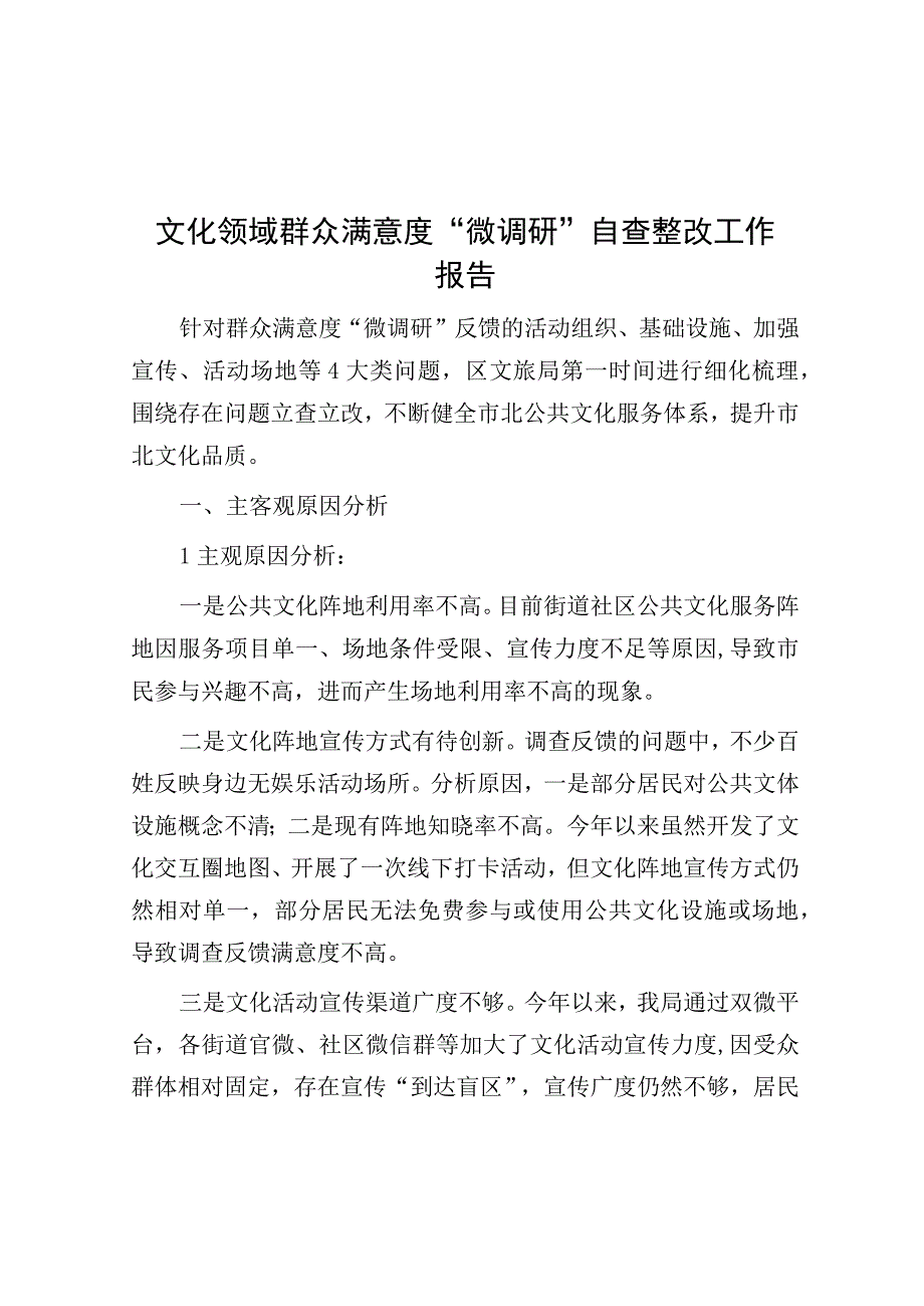 微调研：文化领域群众满意度自查整改工作报告.docx_第1页