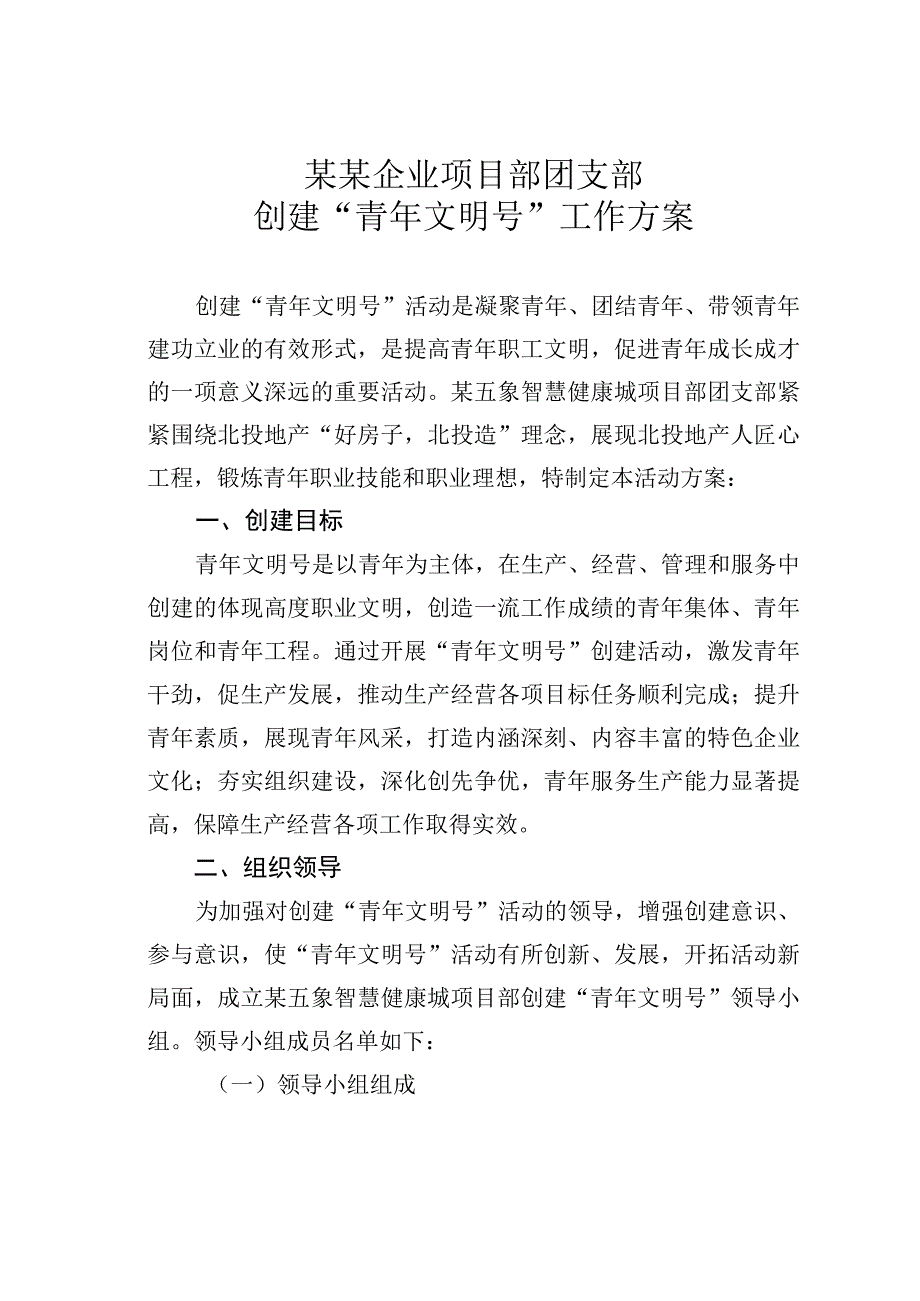 某某企业项目部团支部创建“青年文明号”工作方案.docx_第1页