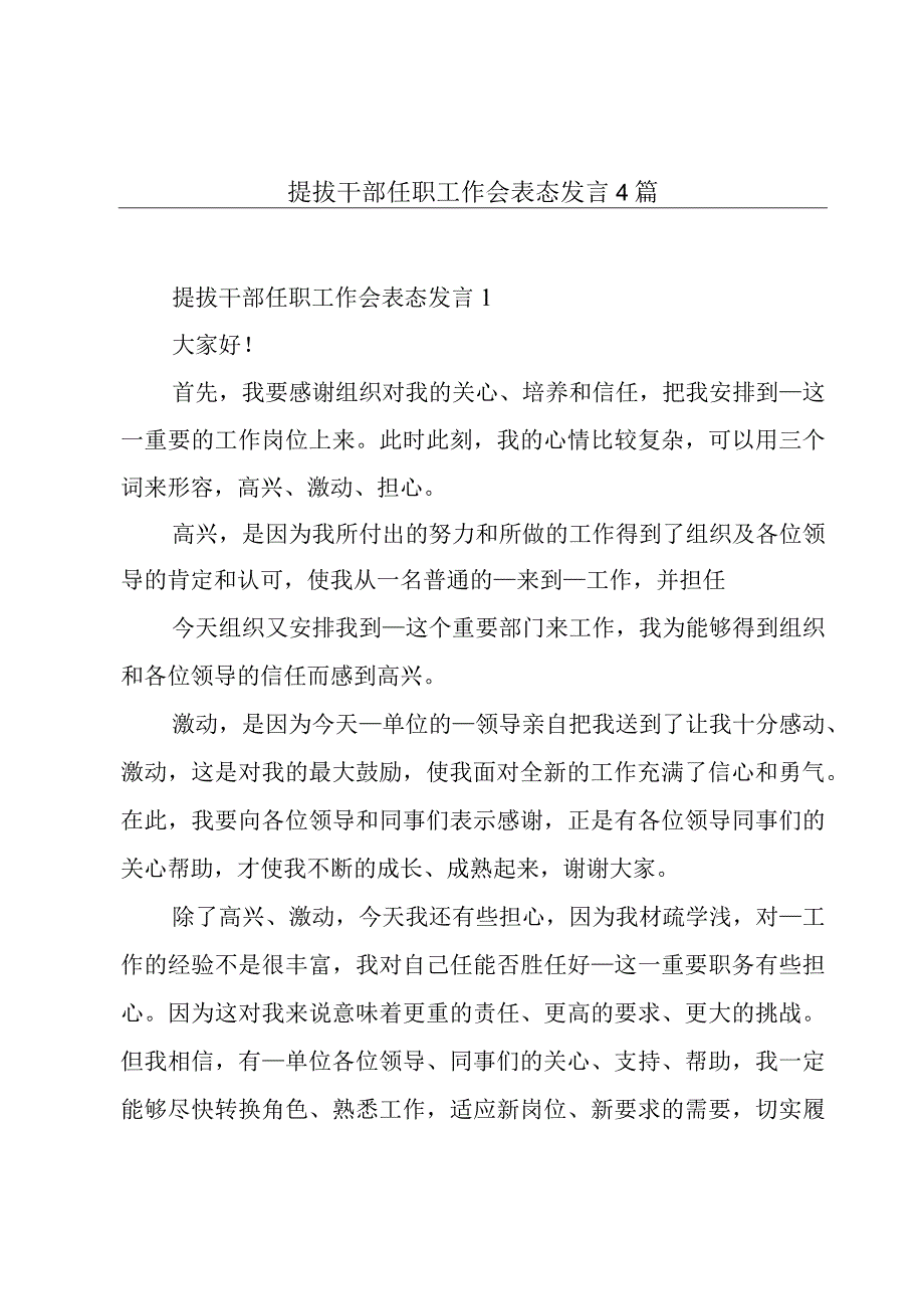 提拔干部任职工作会表态发言4篇.docx_第1页