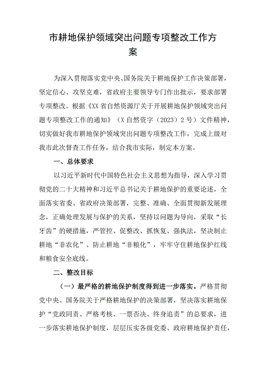 市耕地保护领域突出问题专项整改工作方案.docx_第1页